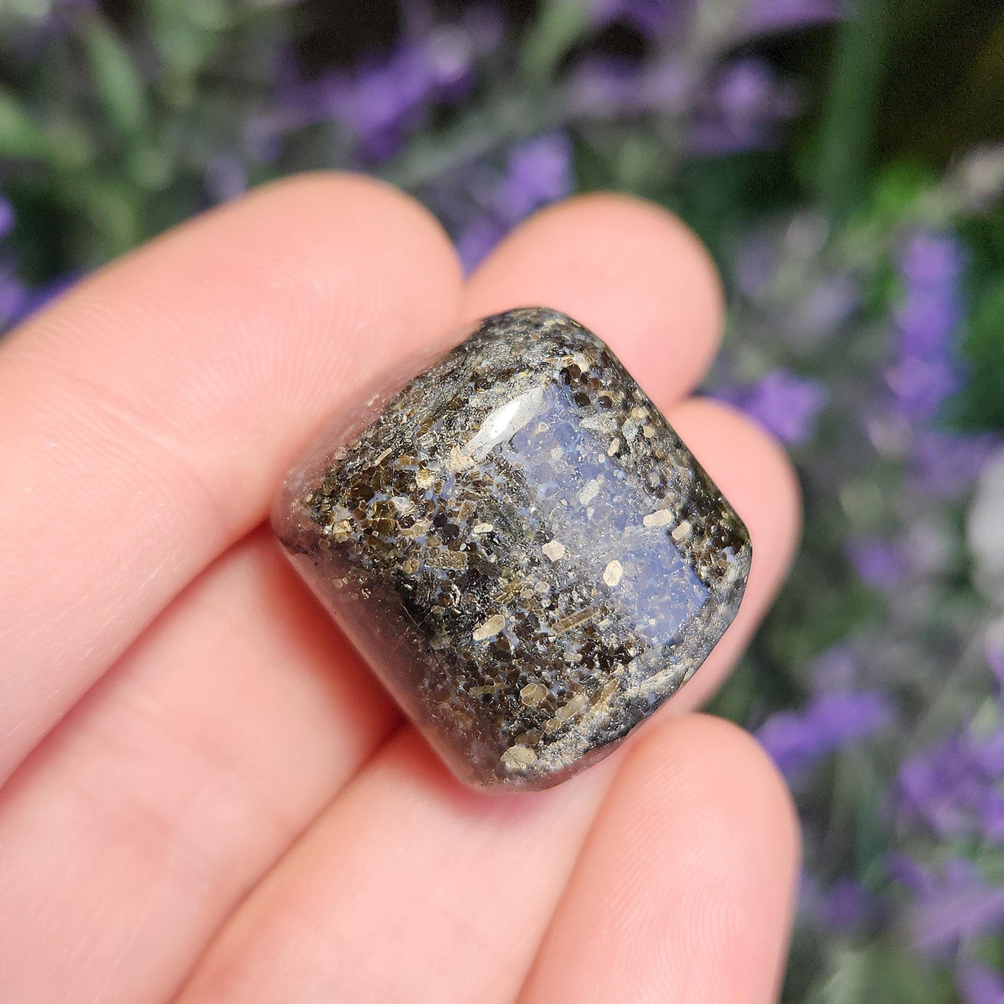 Indian Nuummite