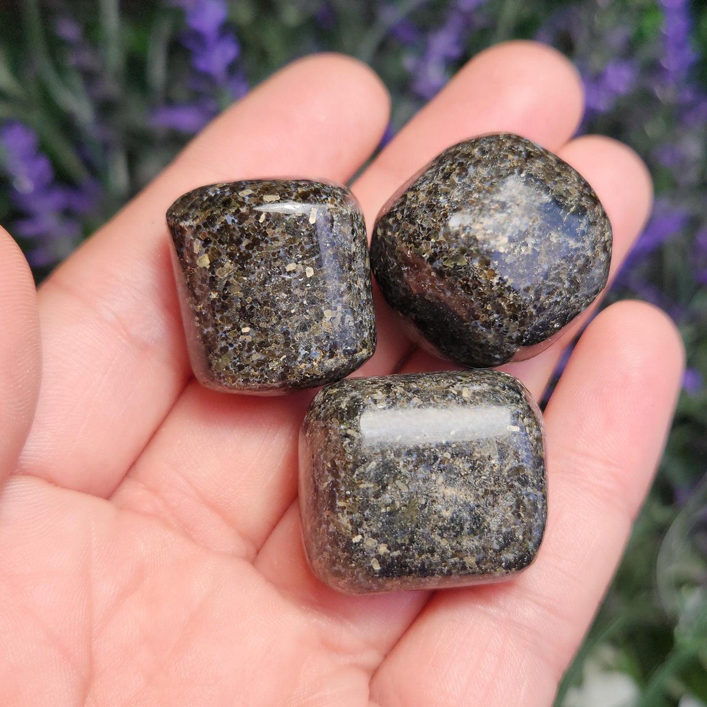 Indian Nuummite