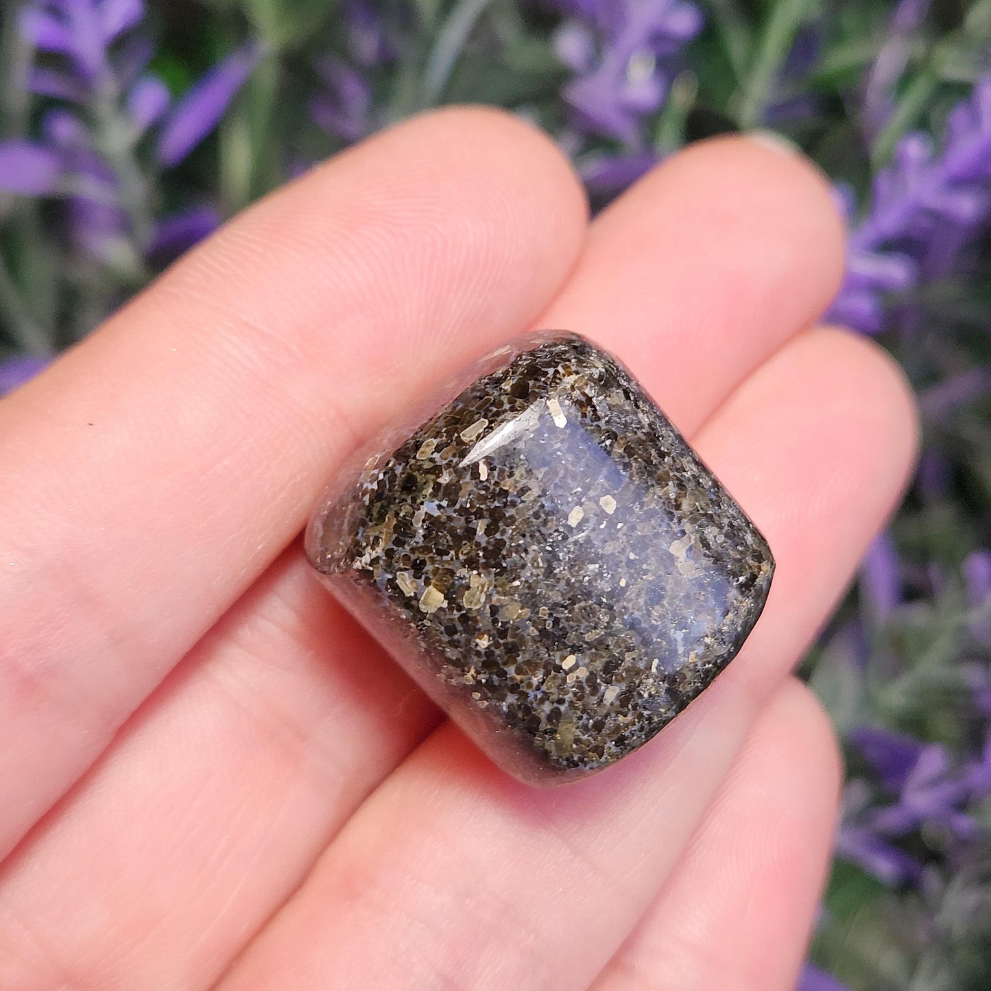 Indian Nuummite