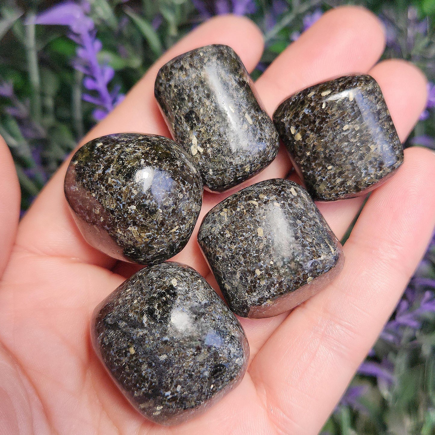 Indian Nuummite