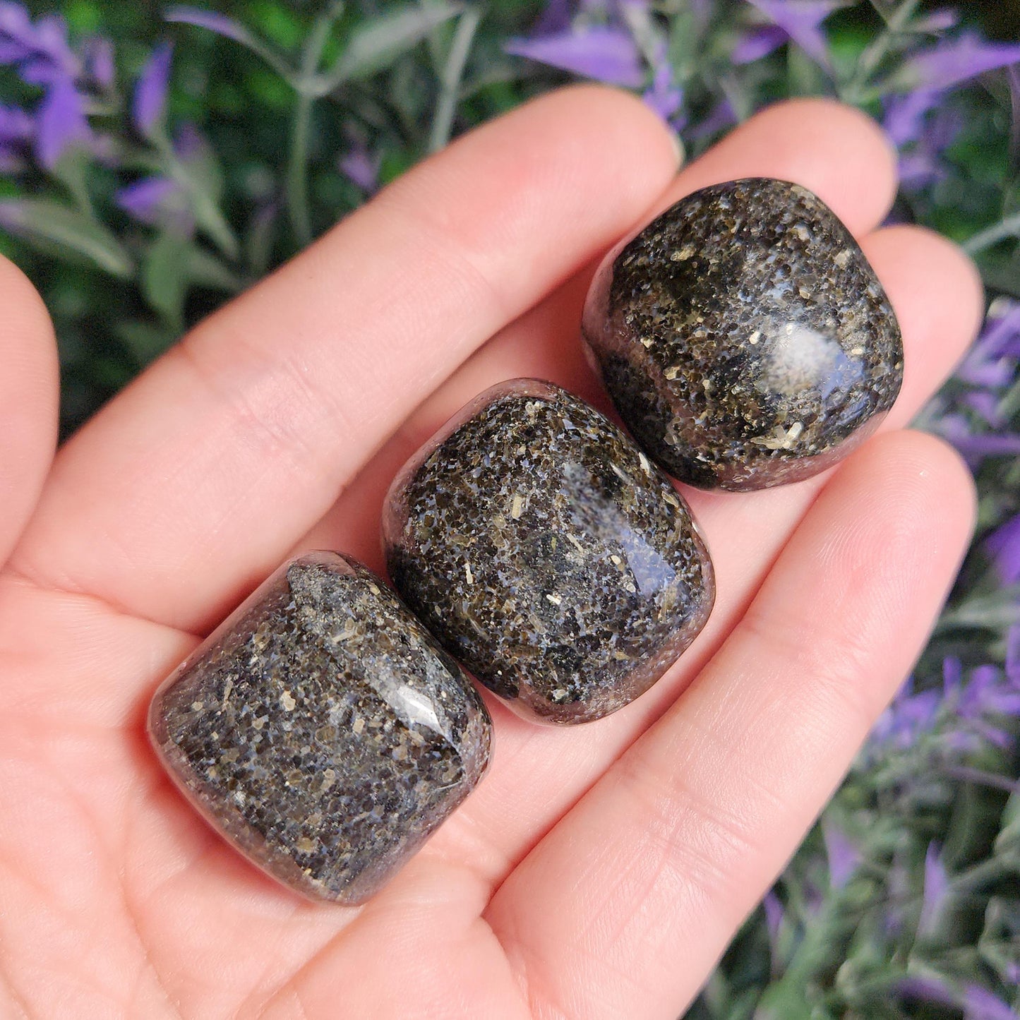 Indian Nuummite