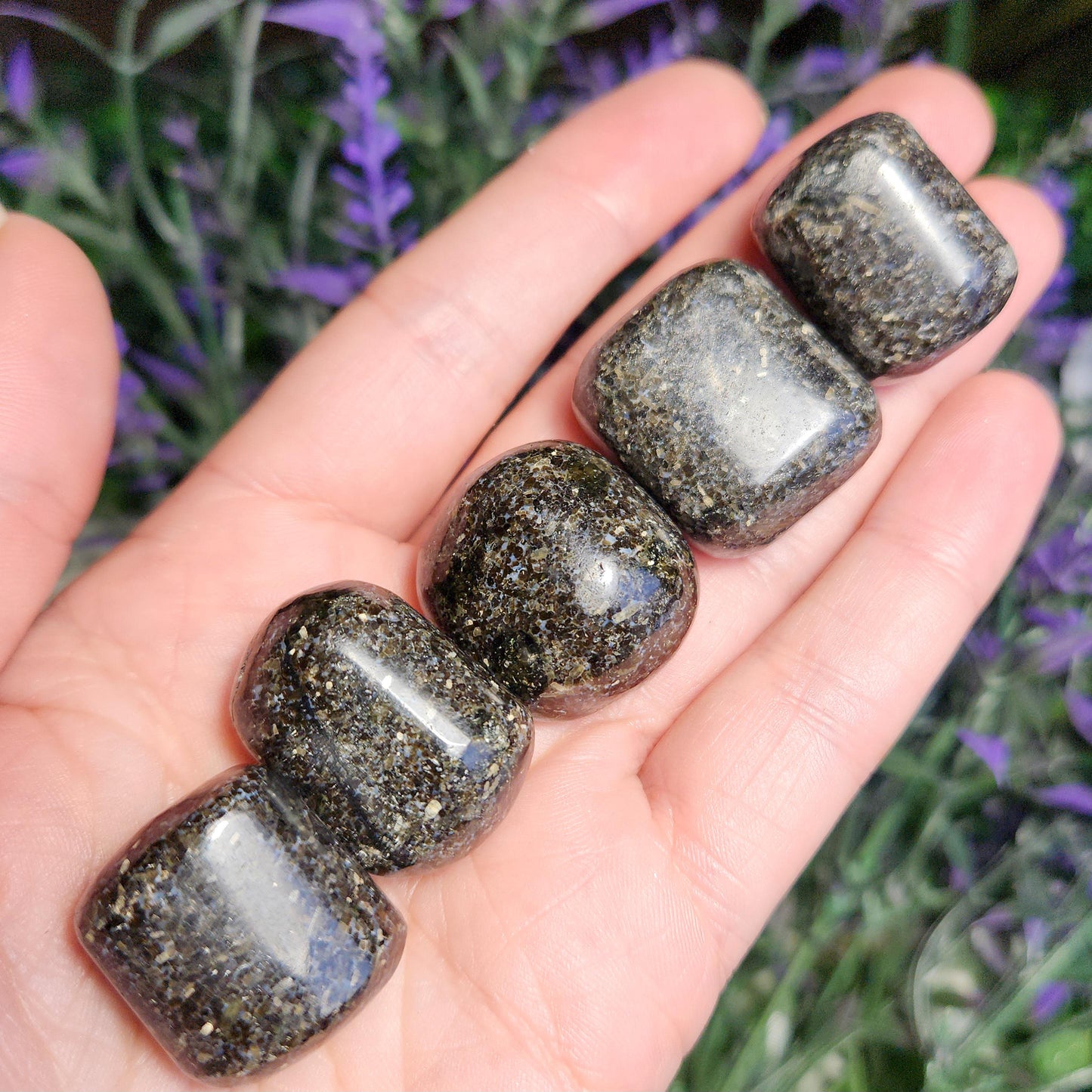 Indian Nuummite