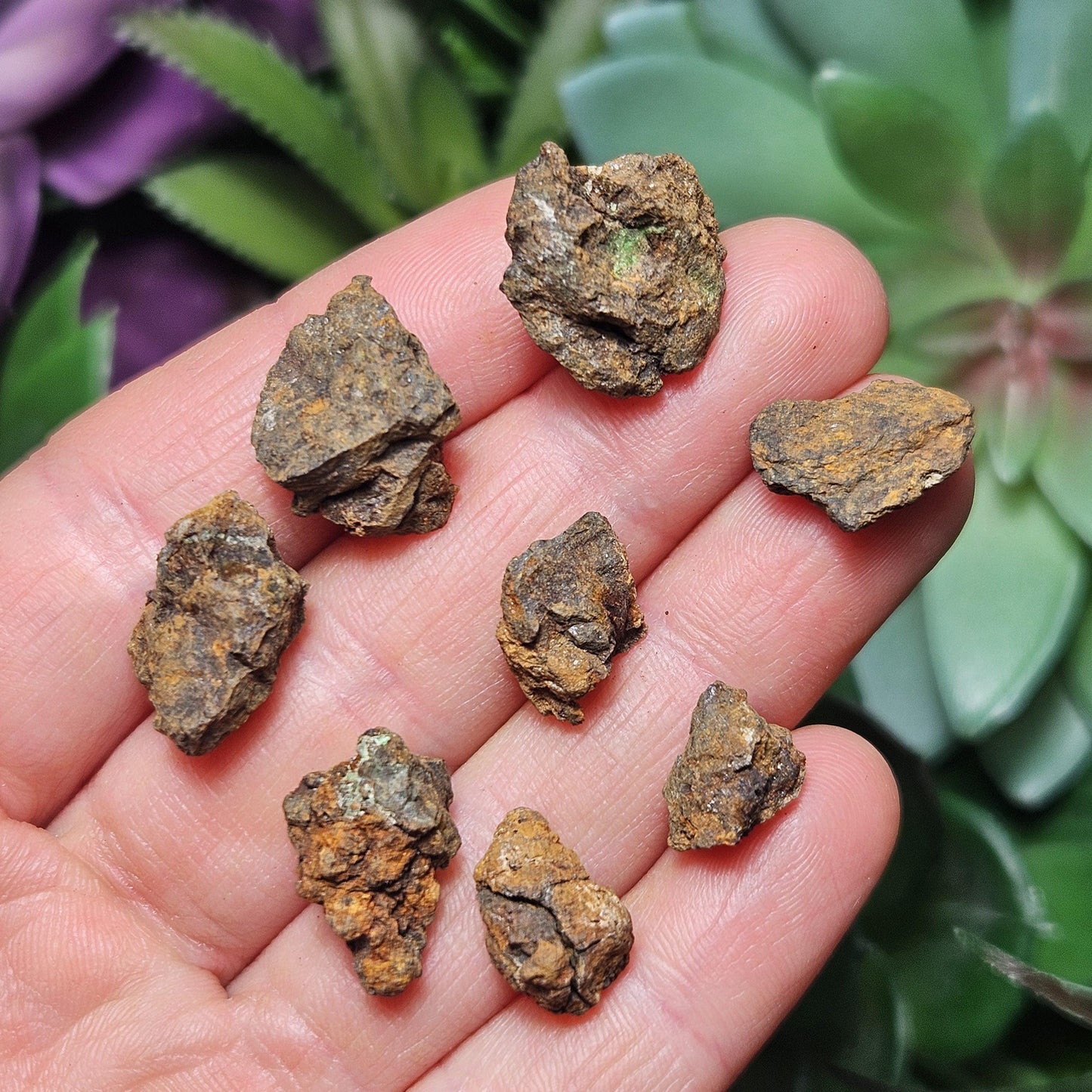 Kenyan Meteorite Specimen