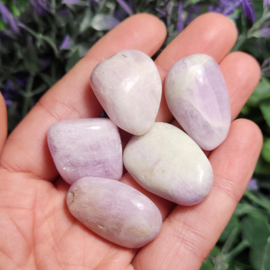 Tumbled Kunzite Crystal
