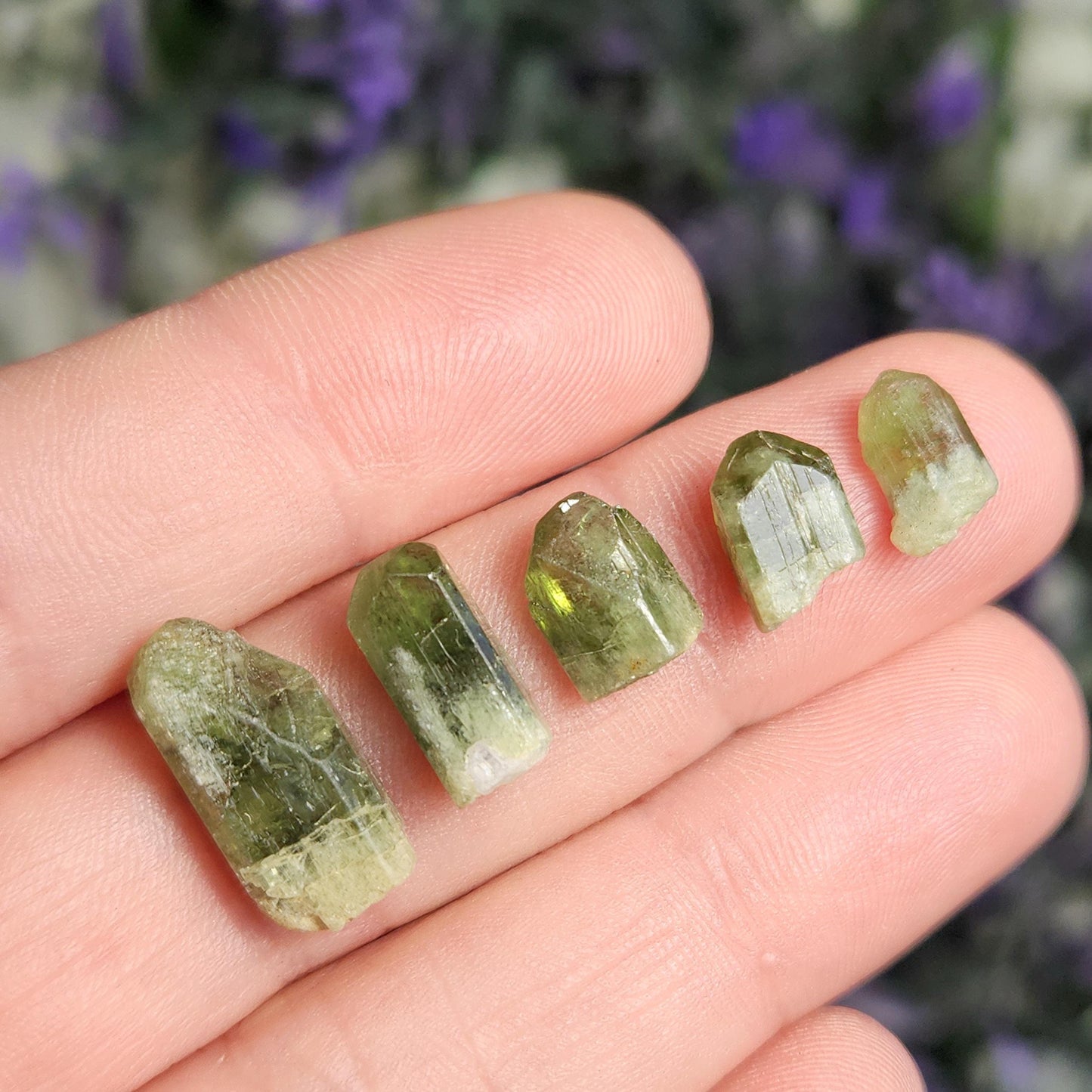 Terminated Diopside Crystal