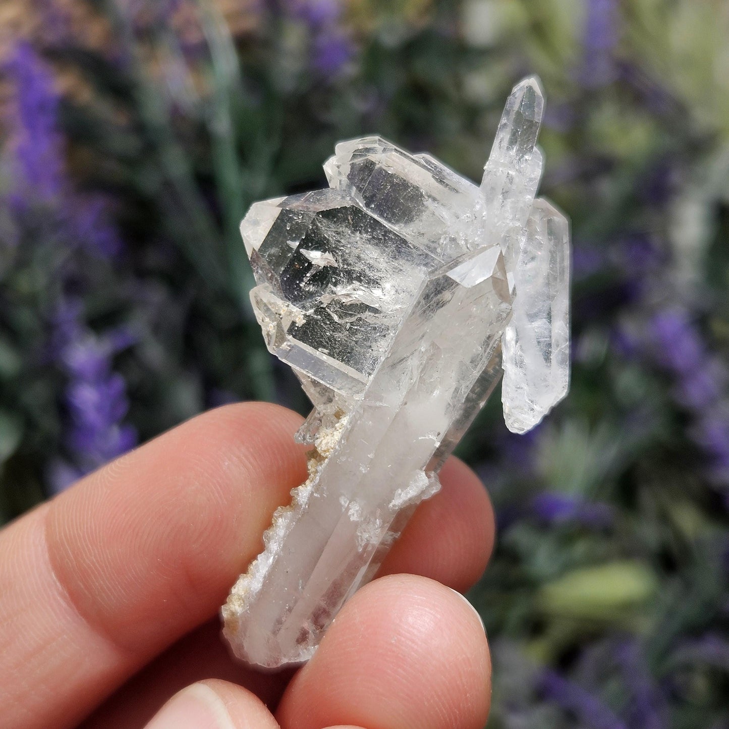 Himalayan Manifestation Faden Quartz