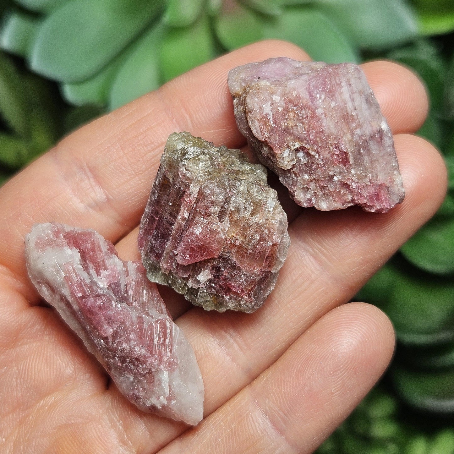 Brazilian Pink Tourmaline & Lepidolite Crystal