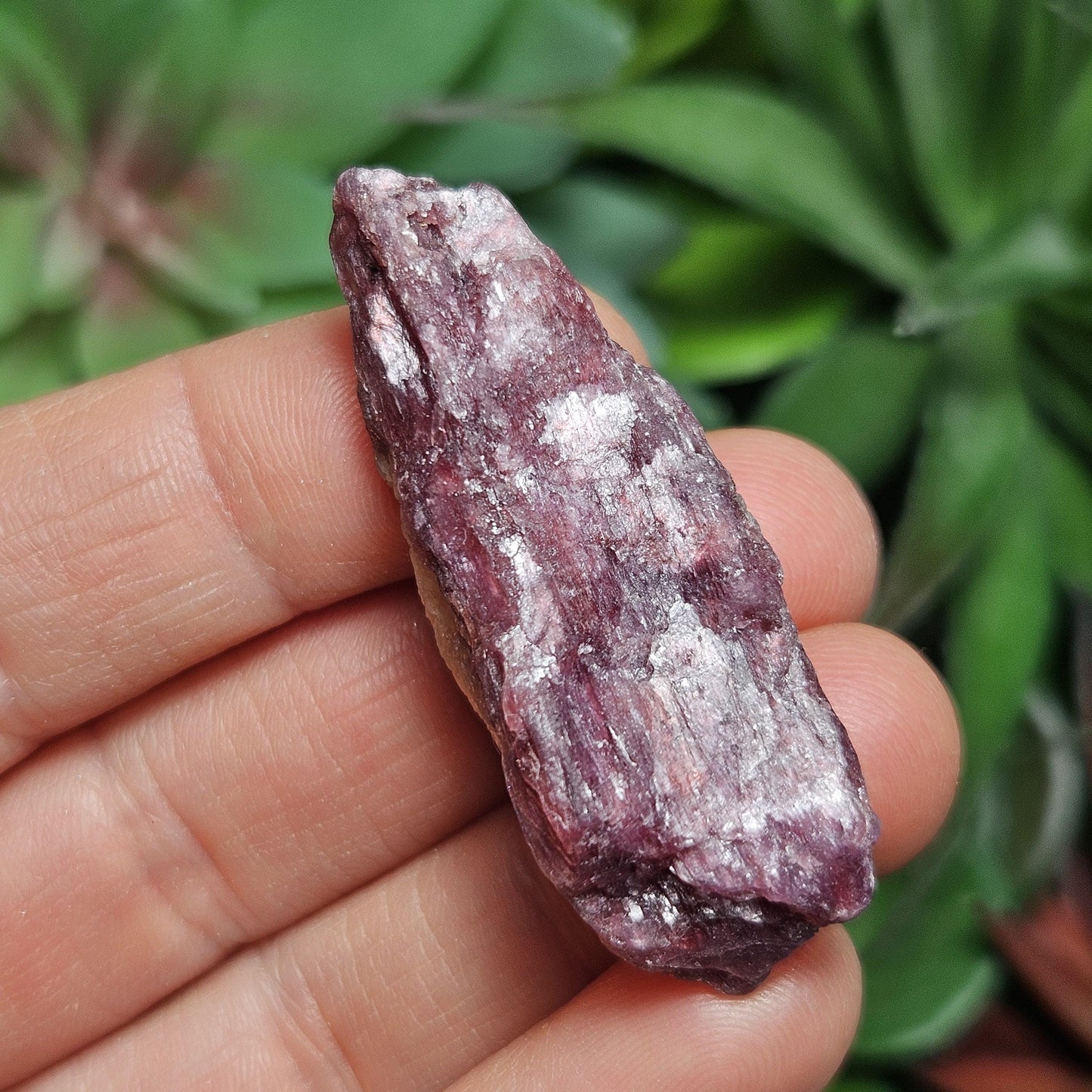 Brazilian Pink Tourmaline & Lepidolite Crystal