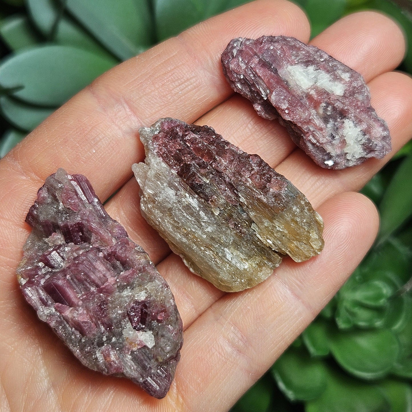 Brazilian Pink Tourmaline & Lepidolite Crystal