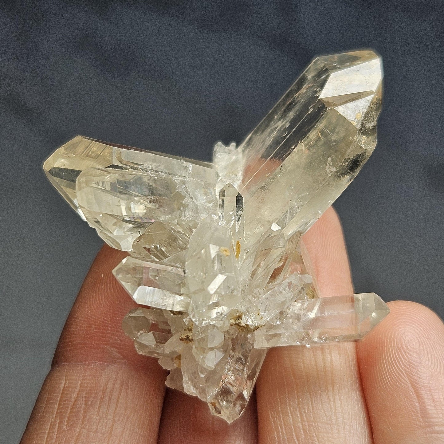 Himalayan Faden Quartz