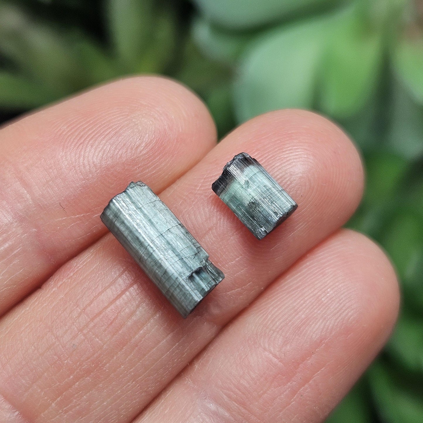 Cats Eye Tourmaline Crystal