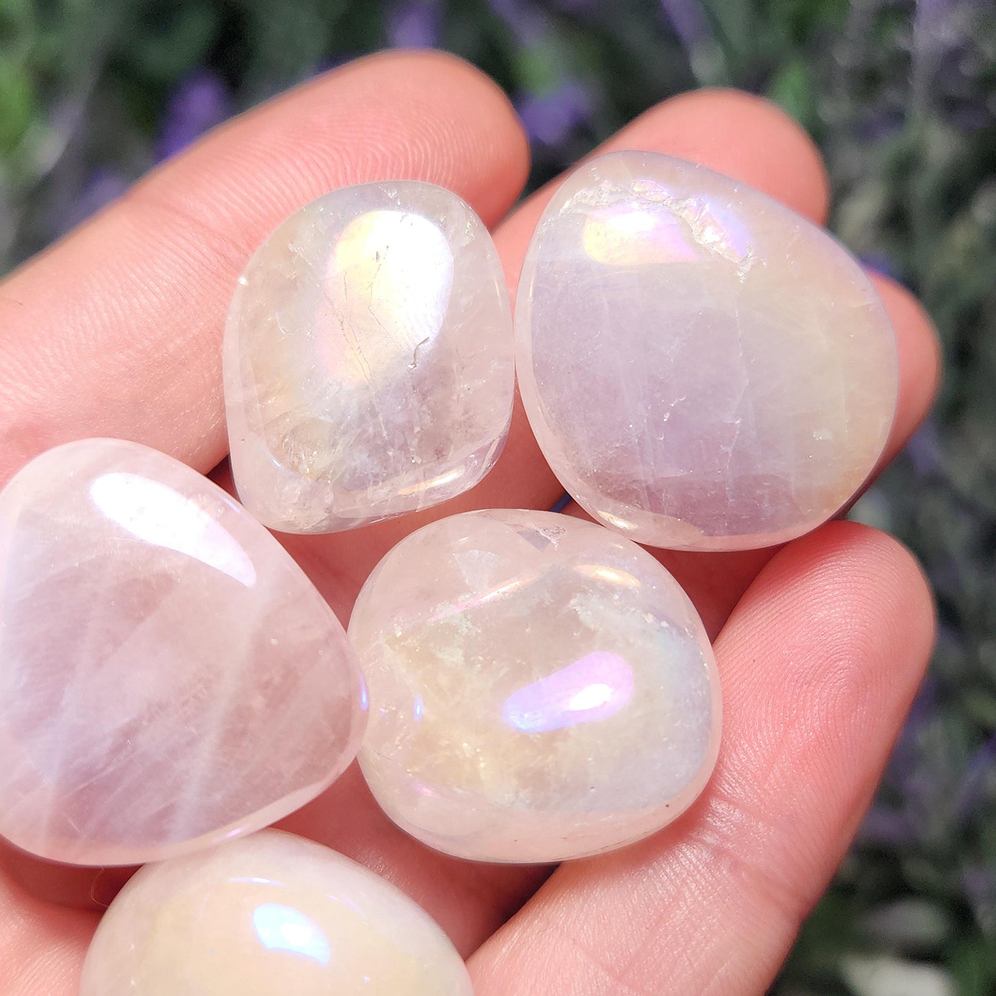 Angel Aura Rose Quartz Crystal