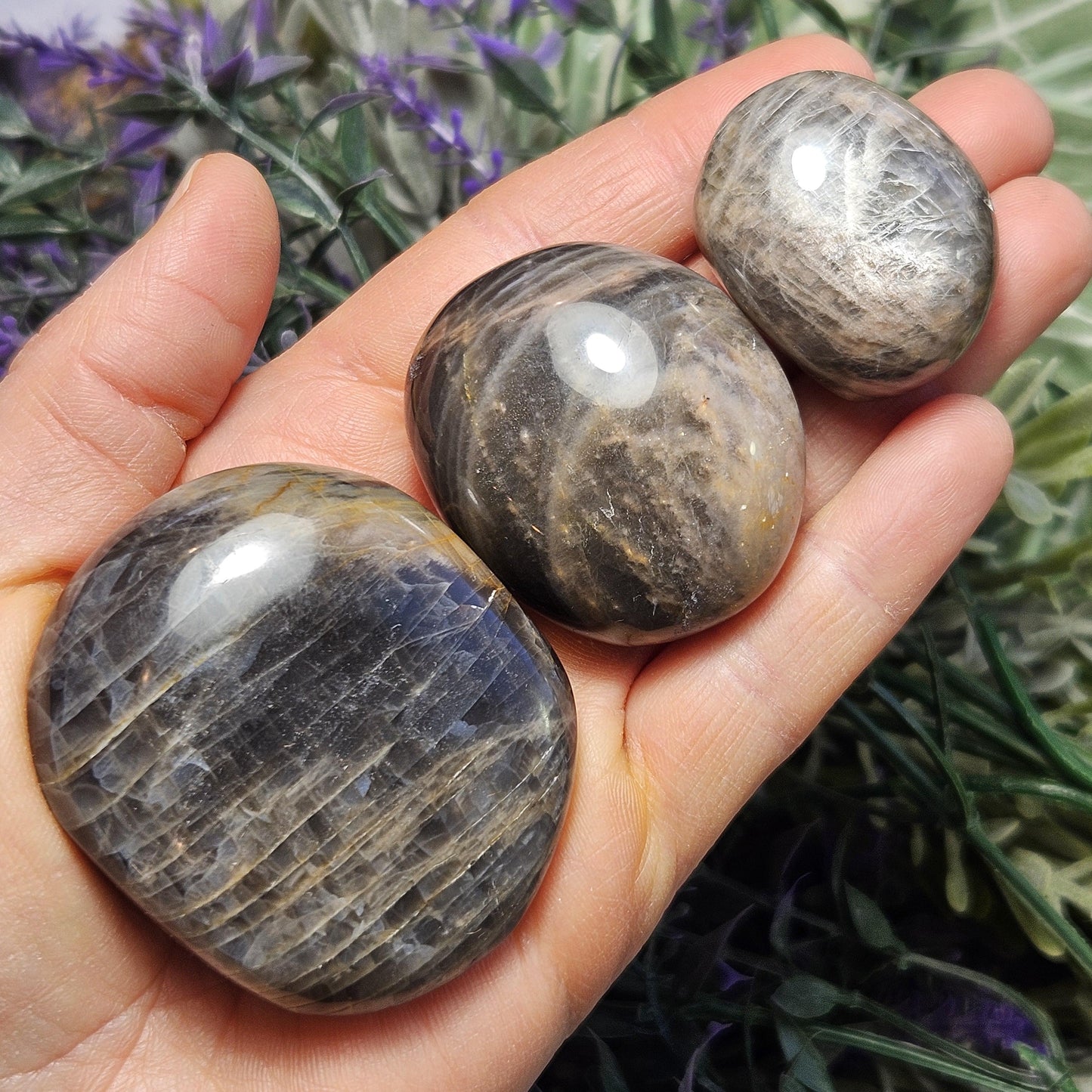 Black Moonstone