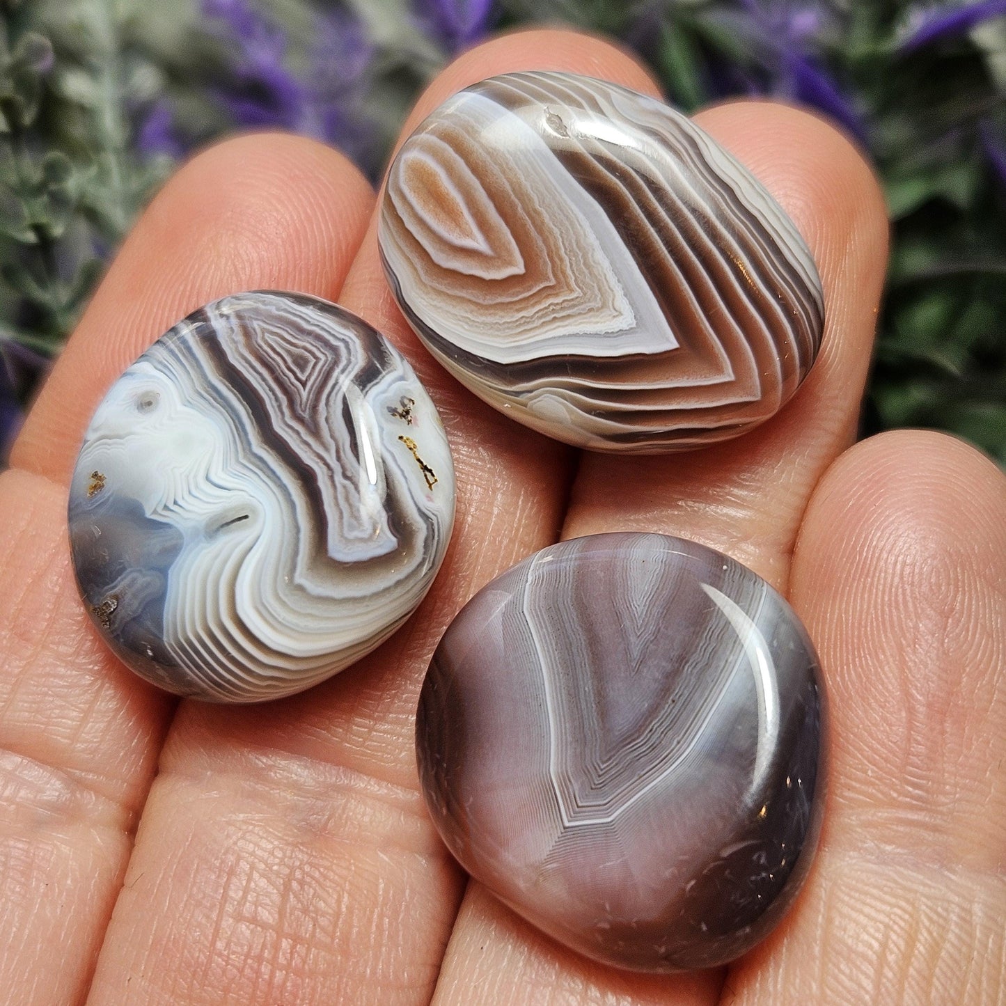 Botswana Agate Specimen