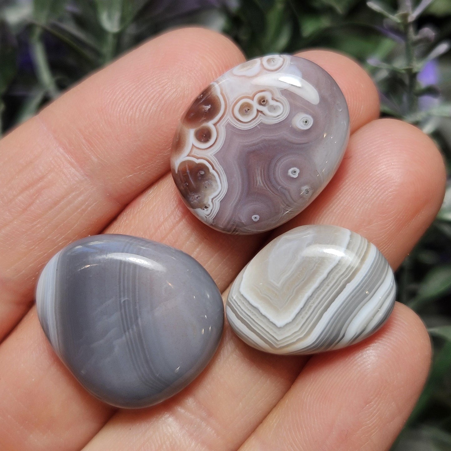 Botswana Agate Specimen
