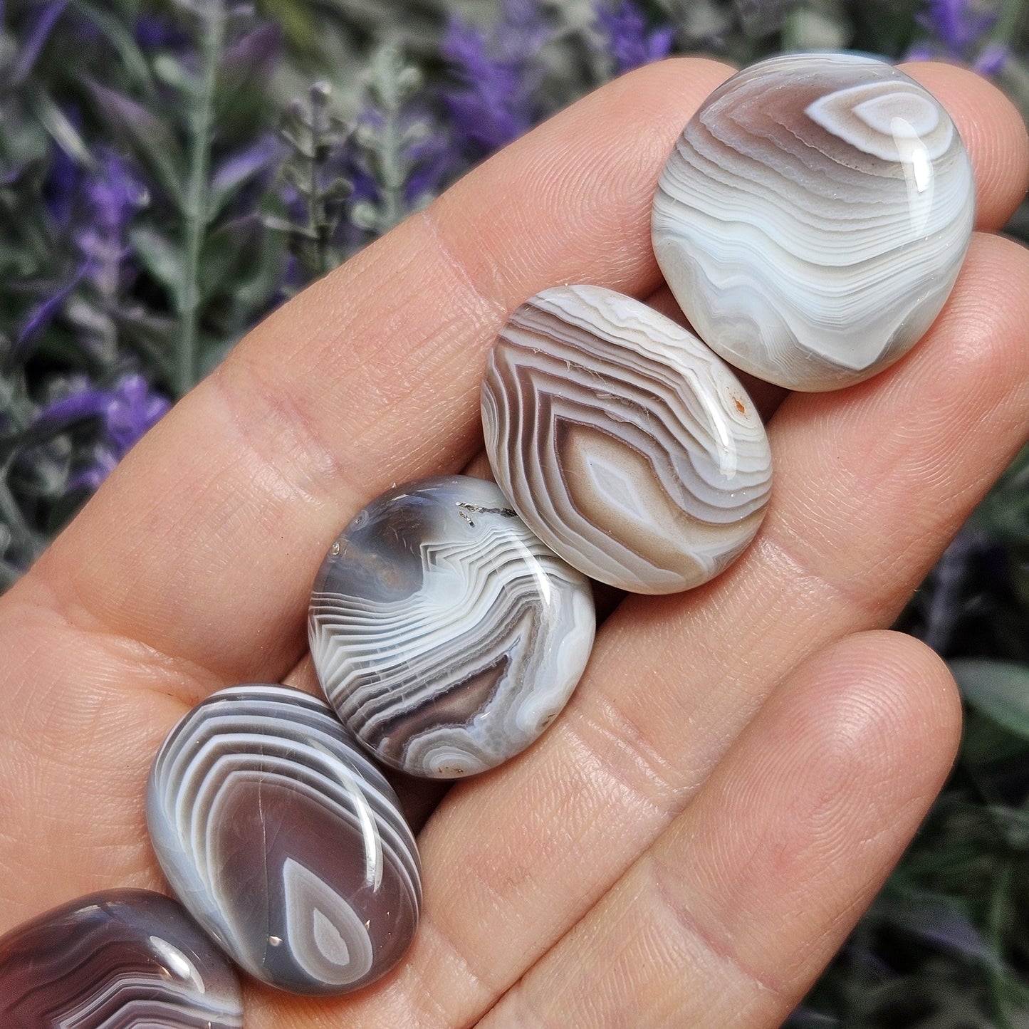 Botswana Agate Specimen
