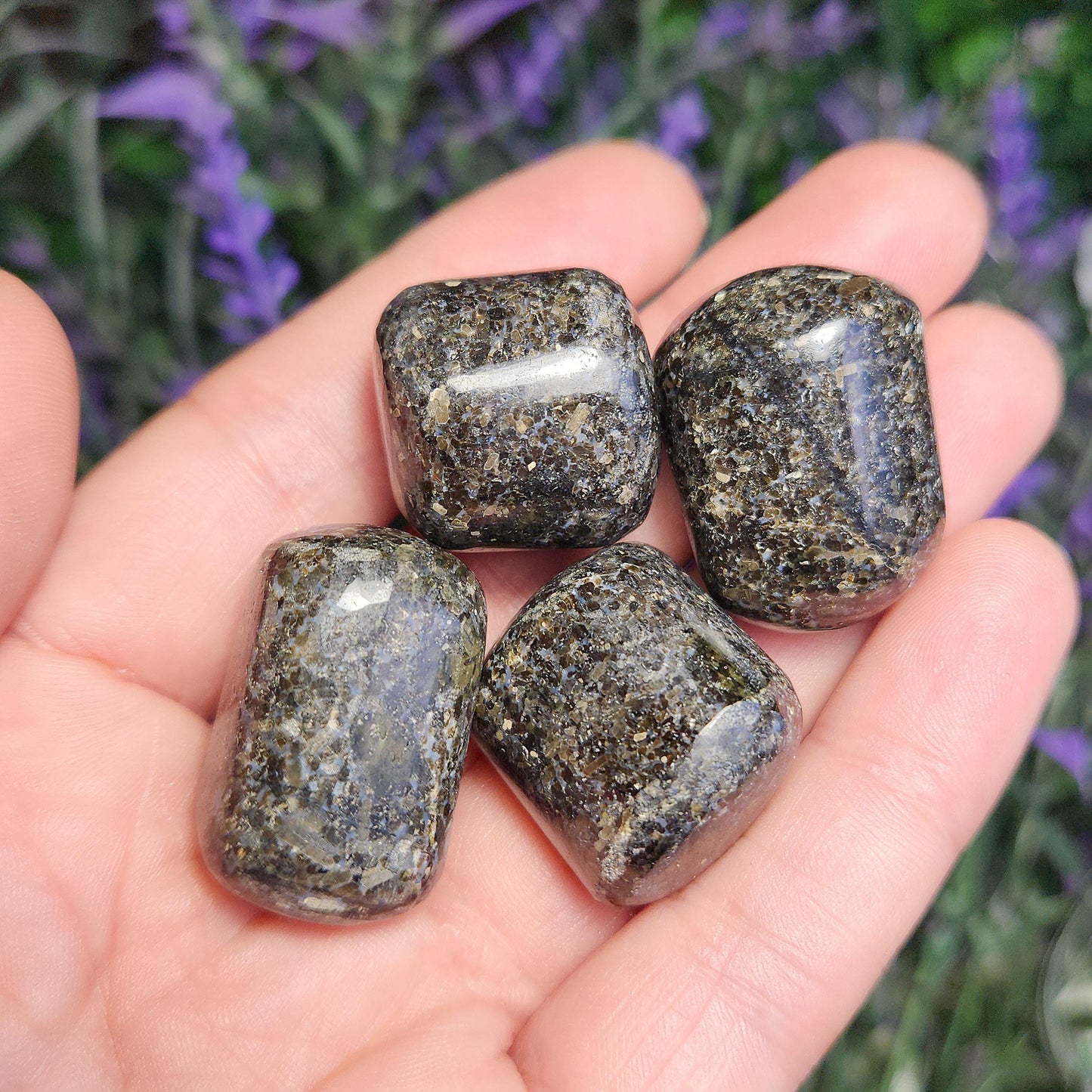 Indian Nuummite