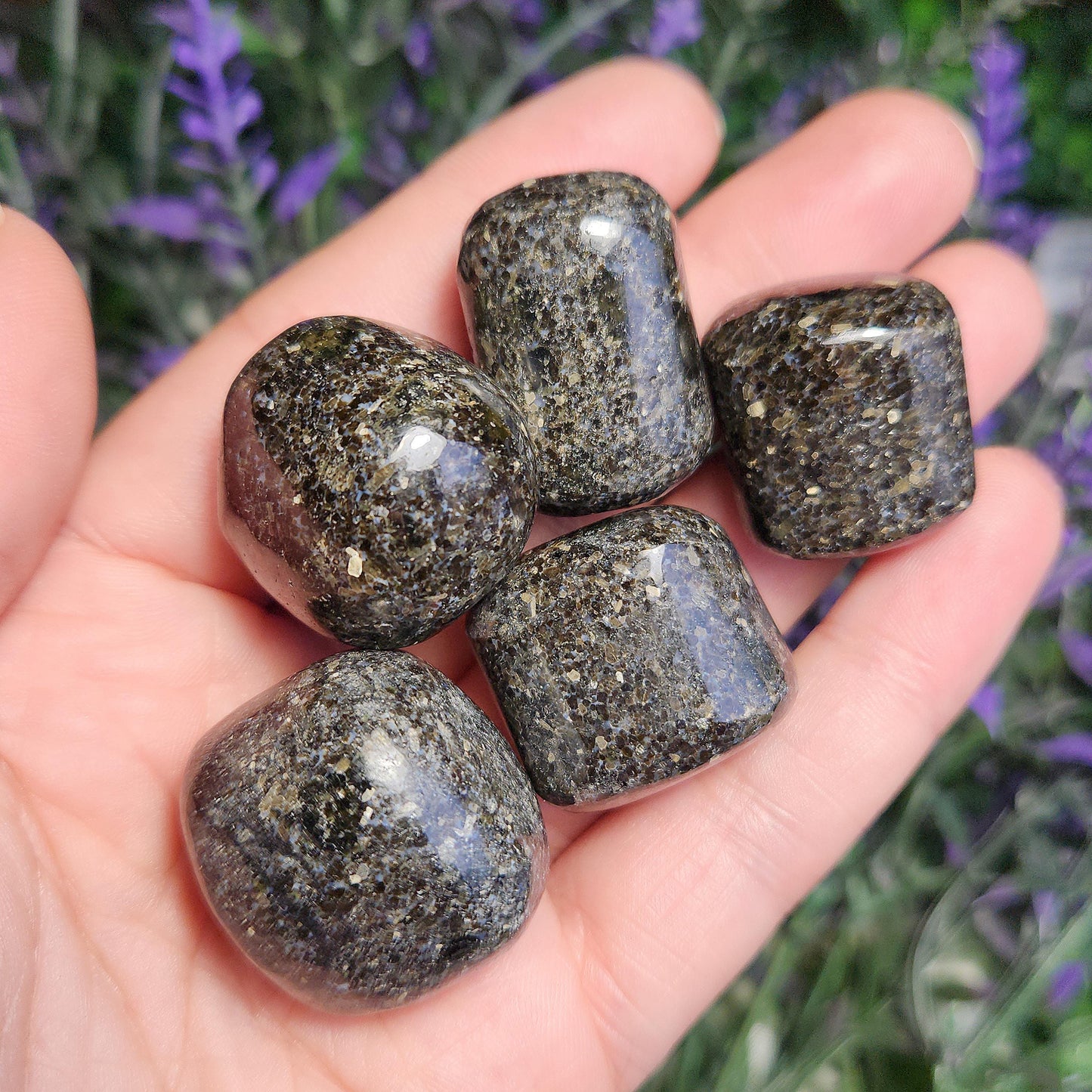 Indian Nuummite