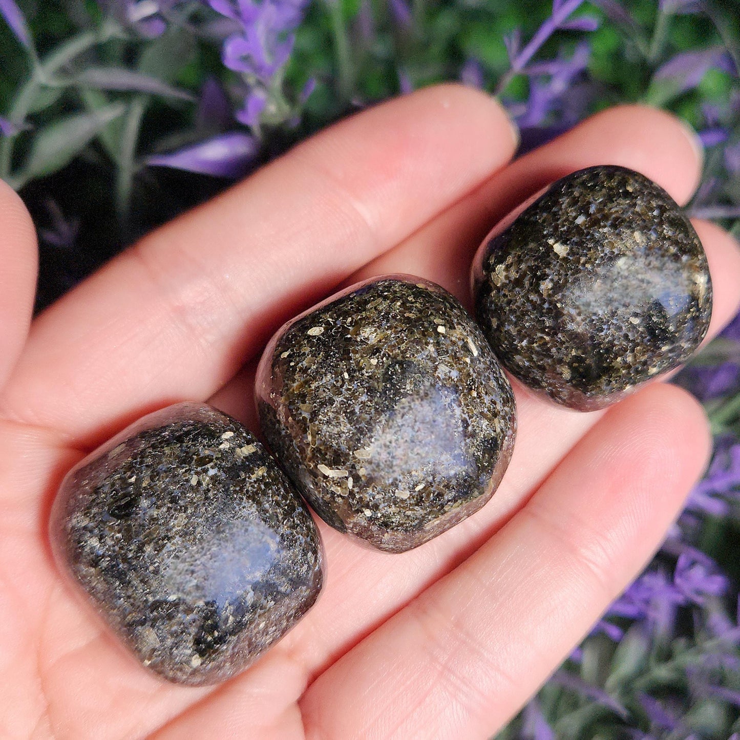 Indian Nuummite