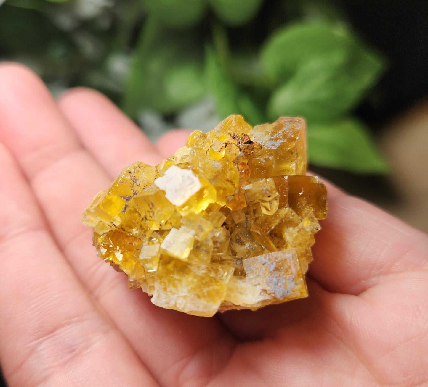 Yellow Fluorite Cluster