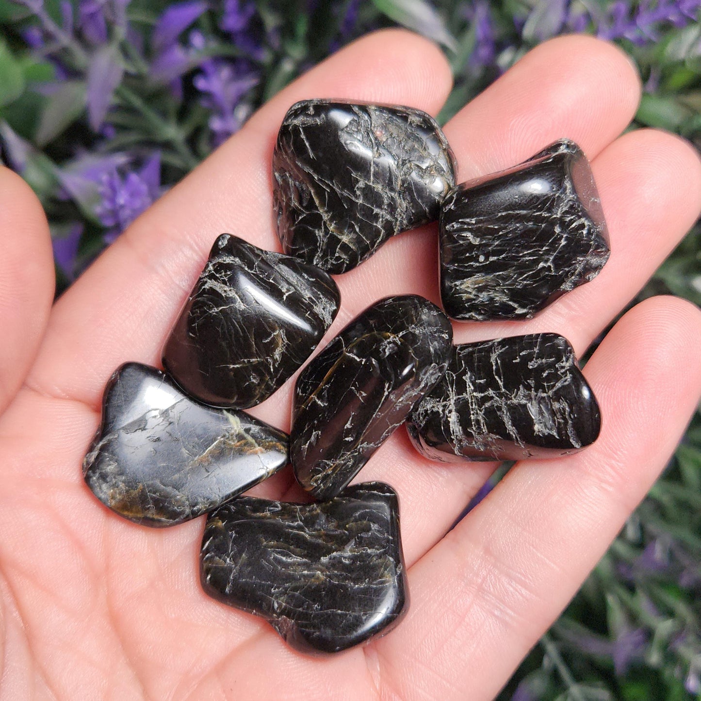 Black Tourmaline Crystal