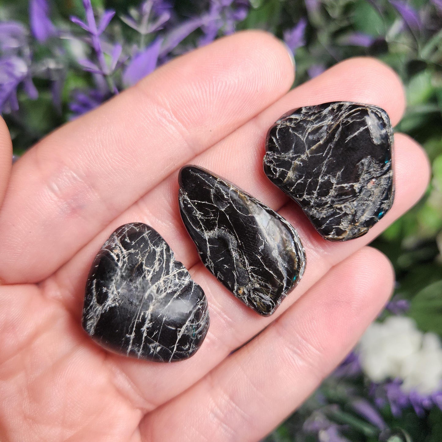 Black Tourmaline Crystal
