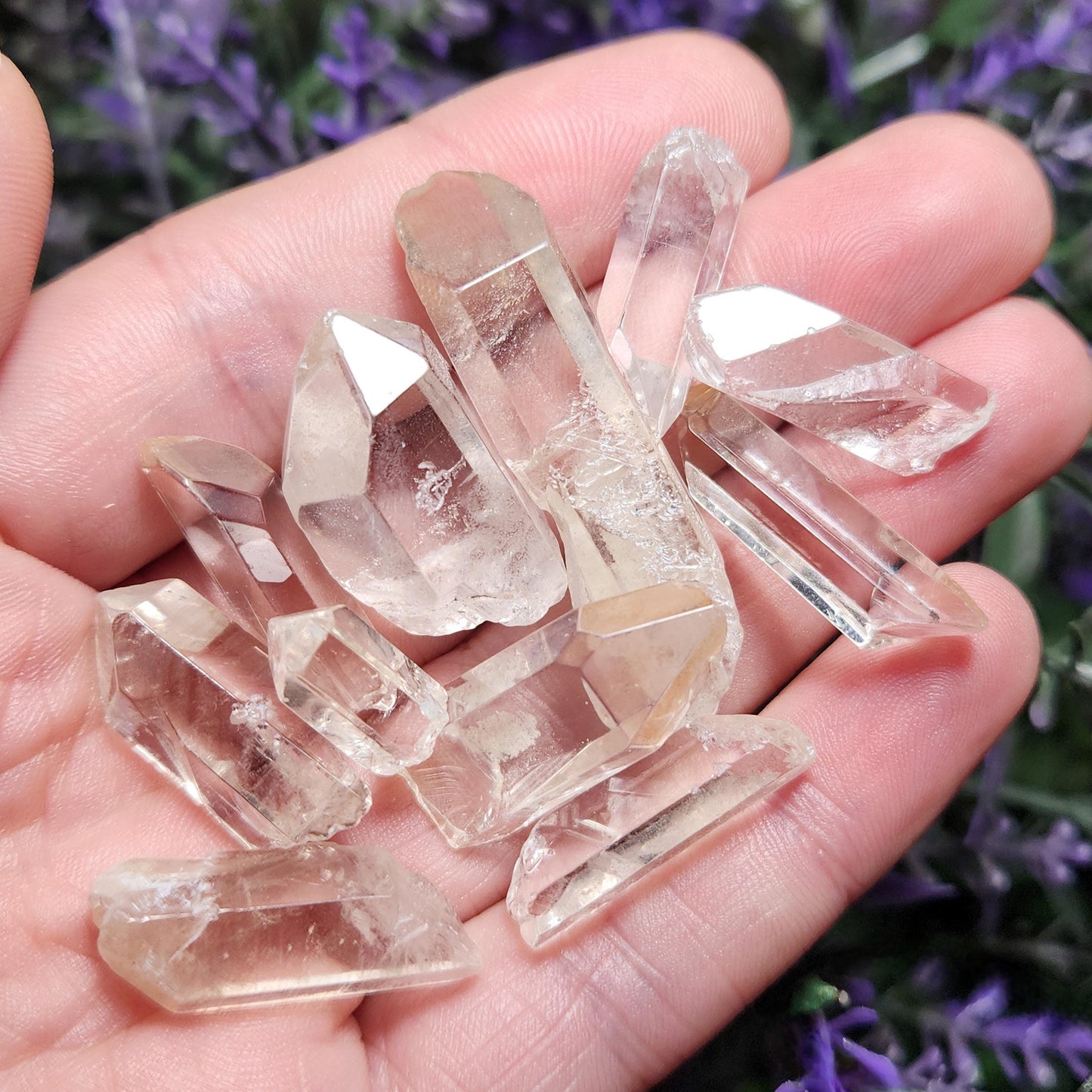 Lemurian Quartz