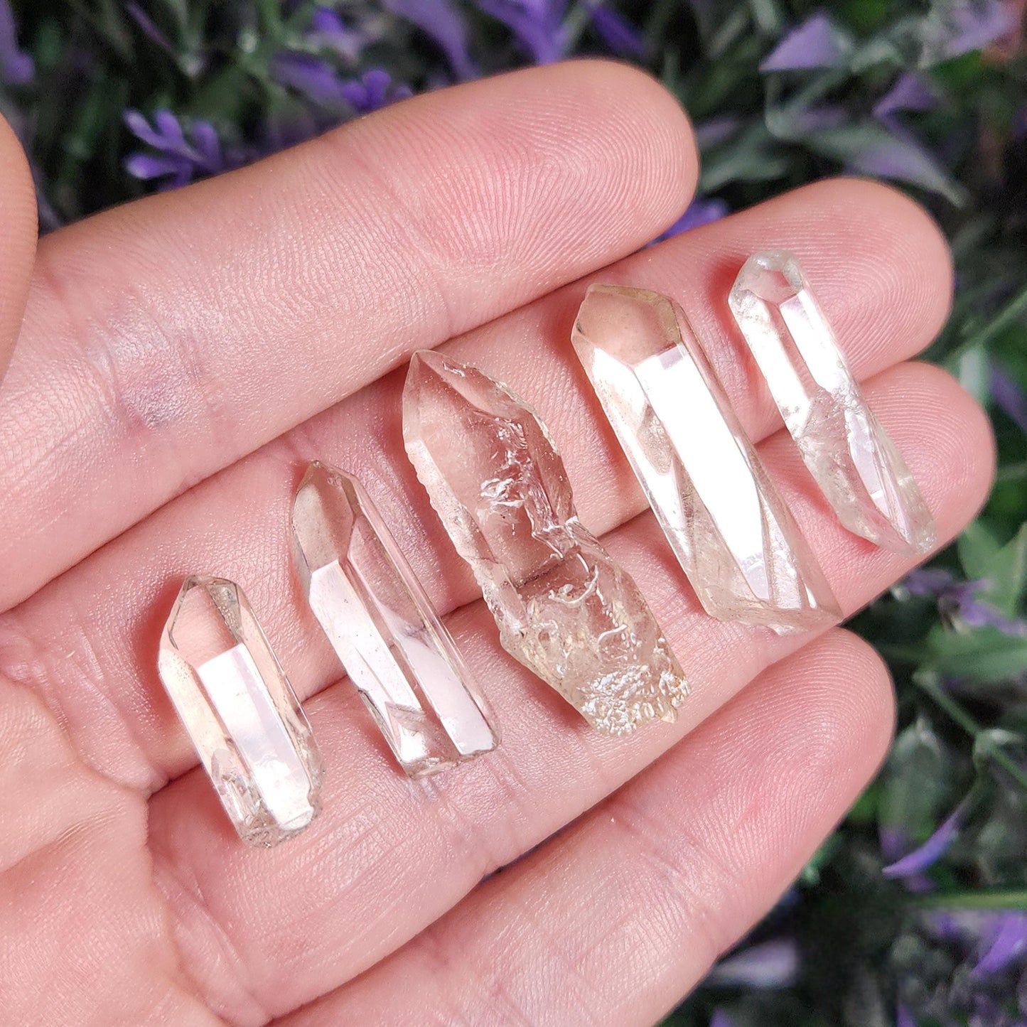 Lemurian Quartz