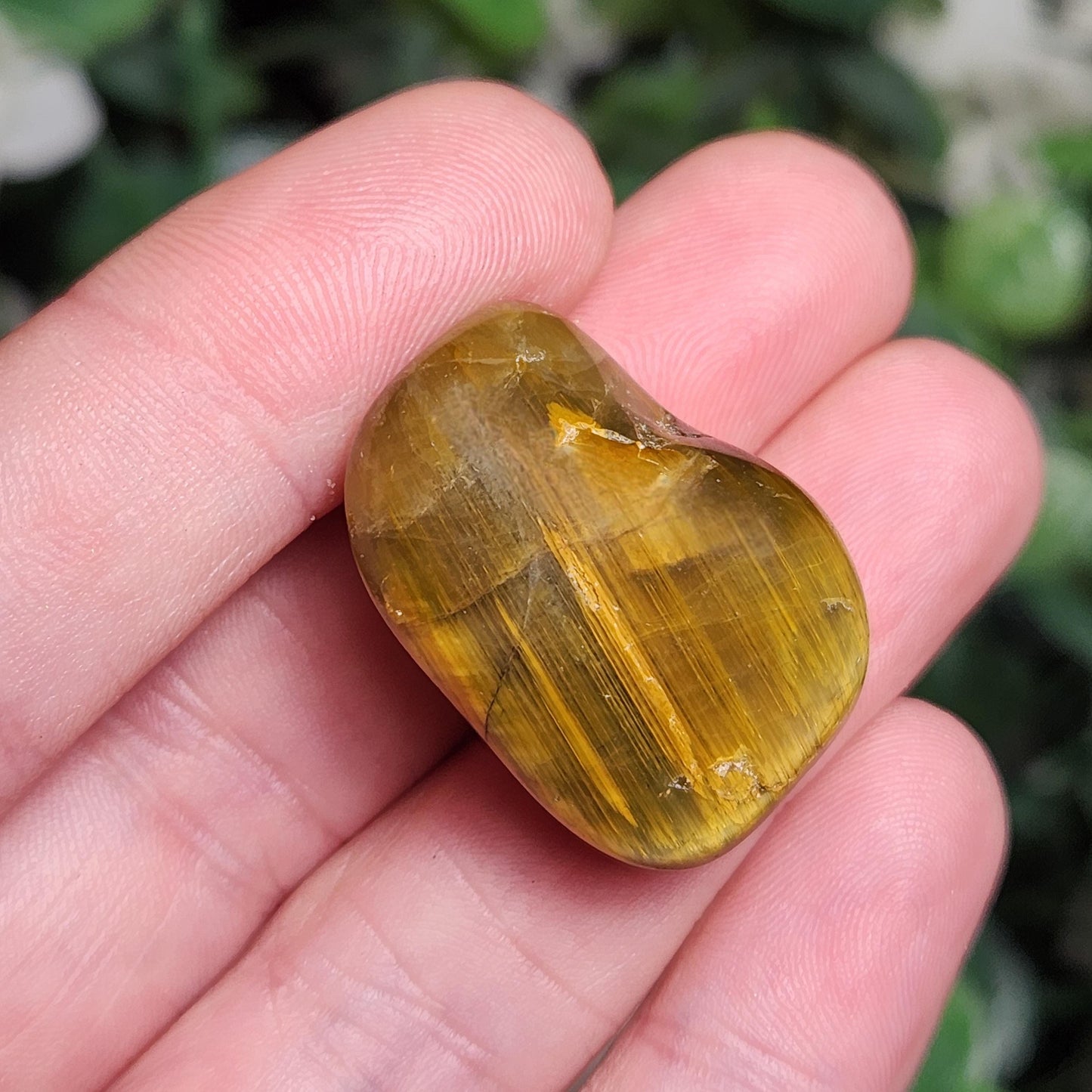 Pietersite & Tiger's Eye