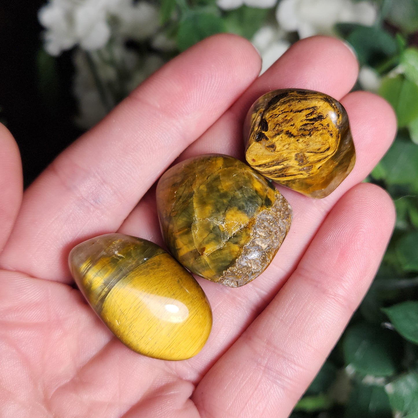 Pietersite & Tiger's Eye