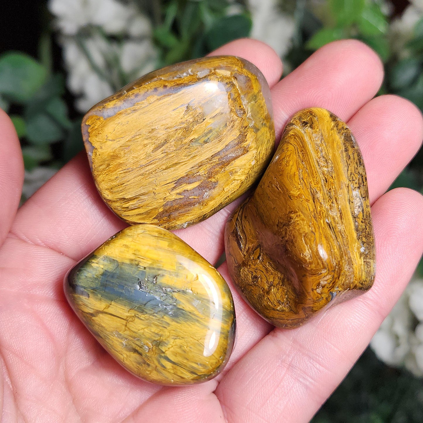 Pietersite & Tiger's Eye