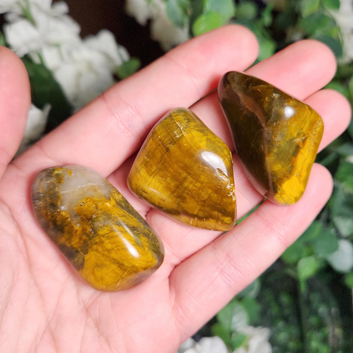 Pietersite & Tiger's Eye