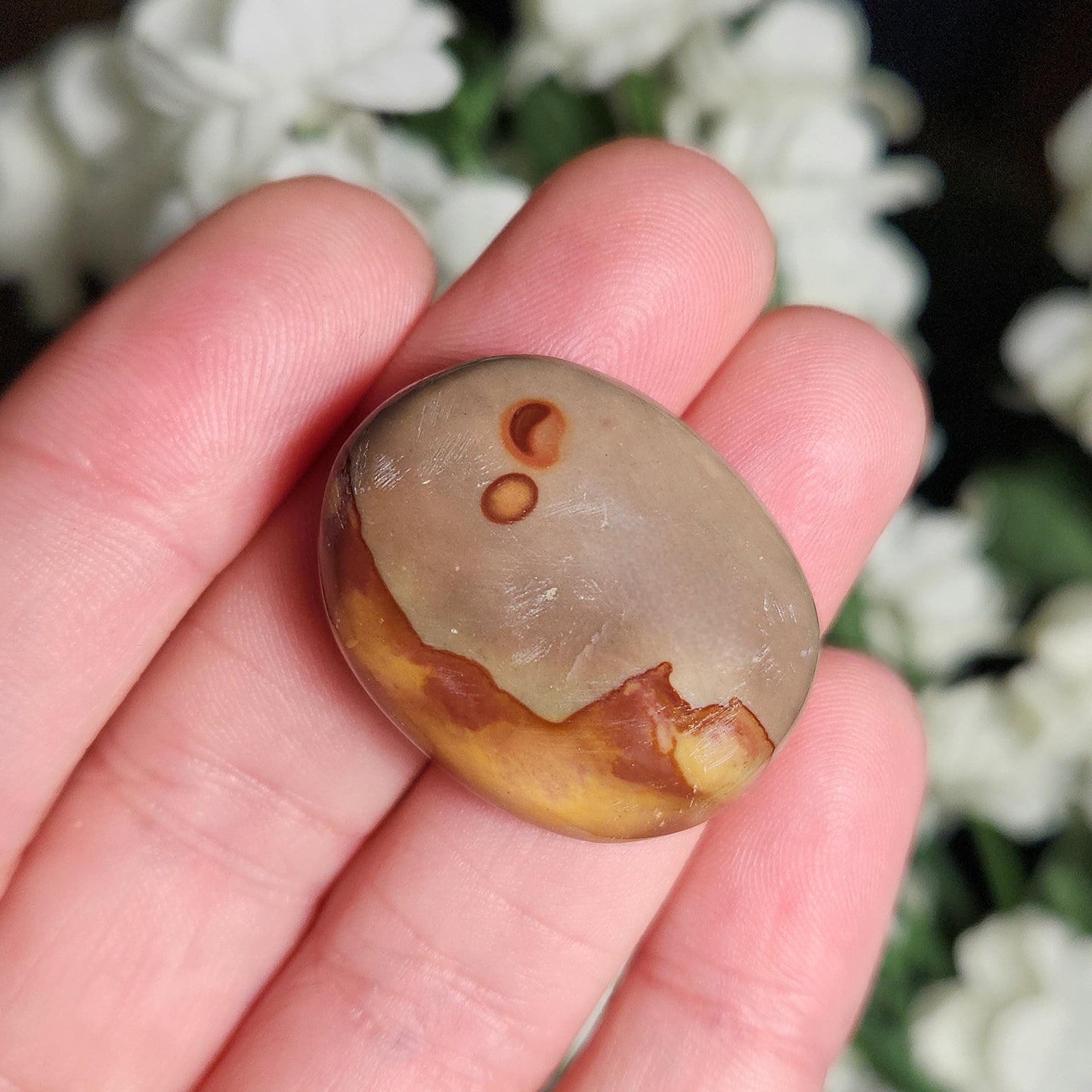 Polychrome Jasper Crystal