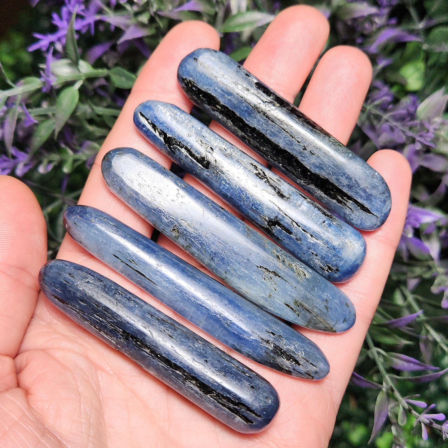 Blue Kyanite with Black Tourmaline