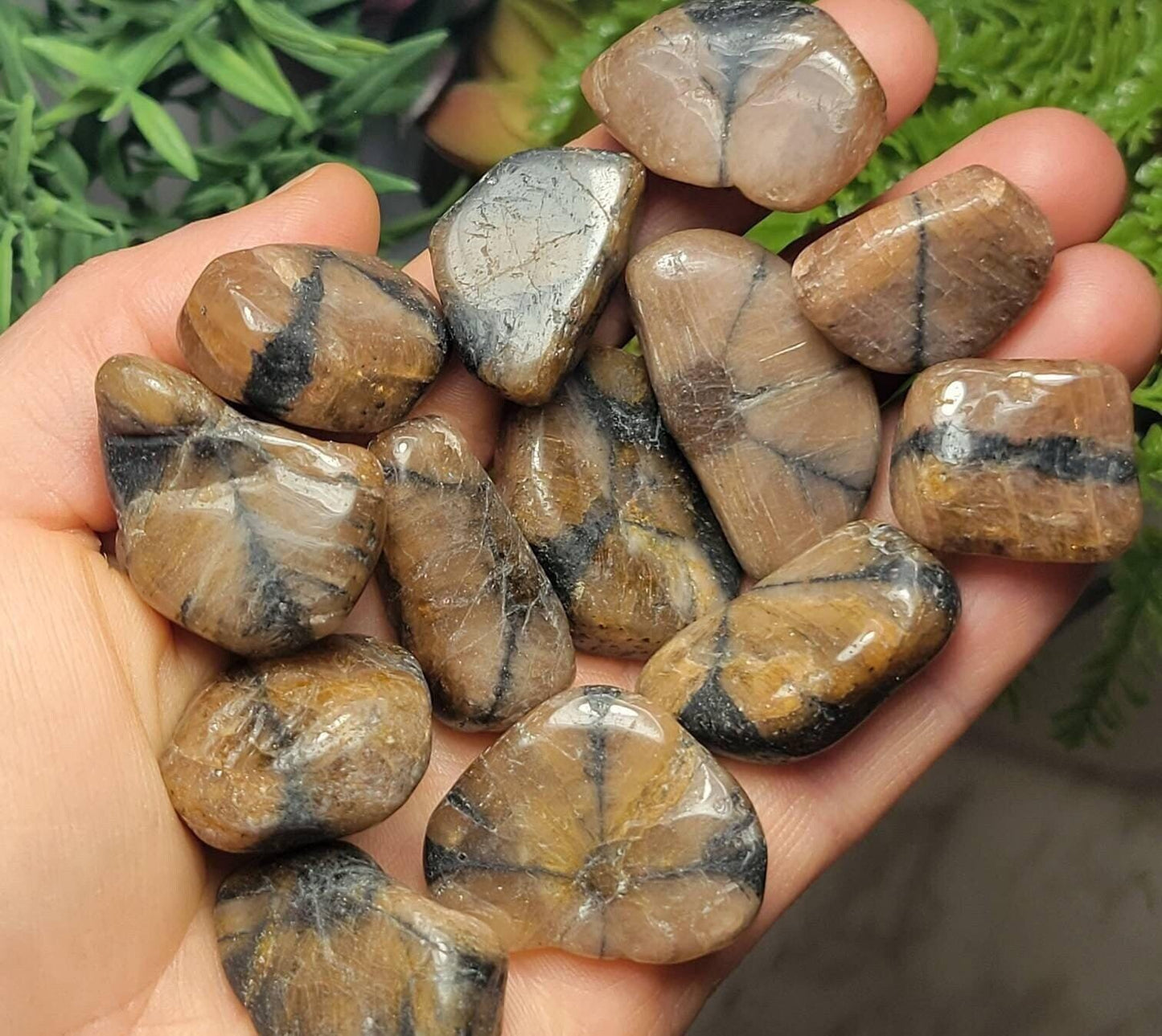 Chiastolite Crystal