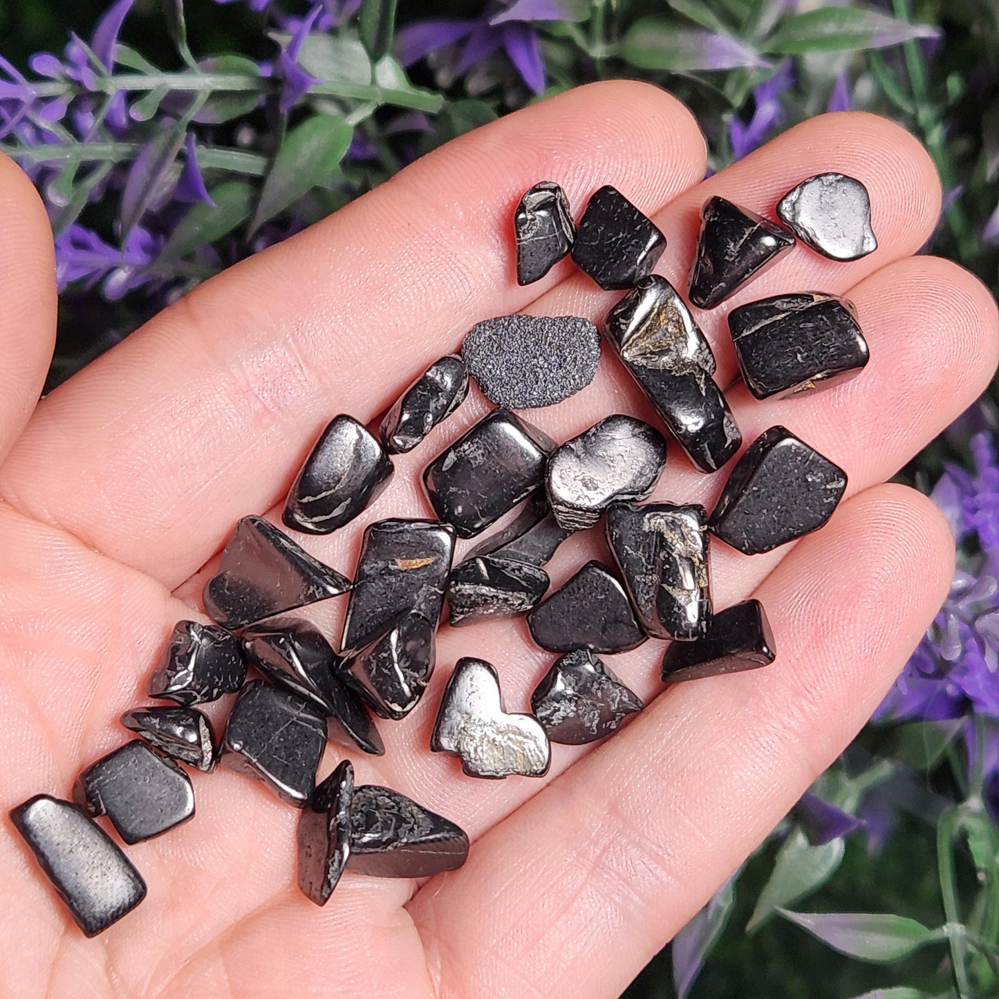 Shungite Crystal Chips