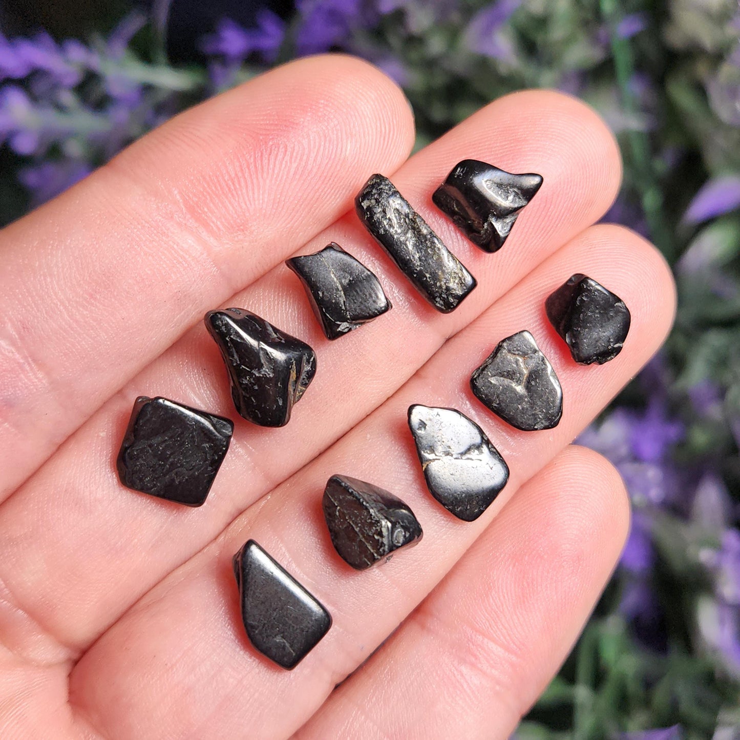 Shungite Crystal Chips