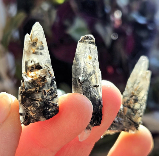 Black Samadhi Himalayan Quartz