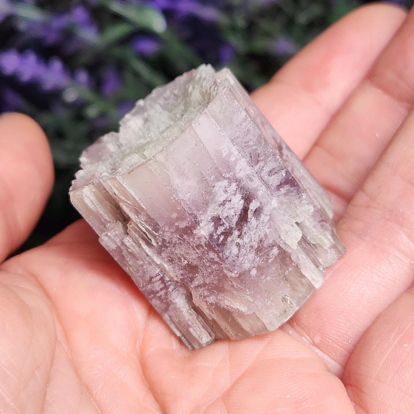 Purple Aragonite