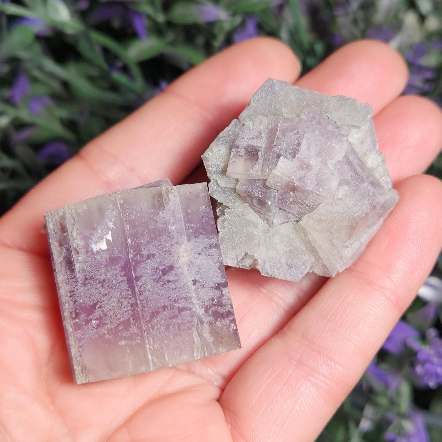 Purple Aragonite