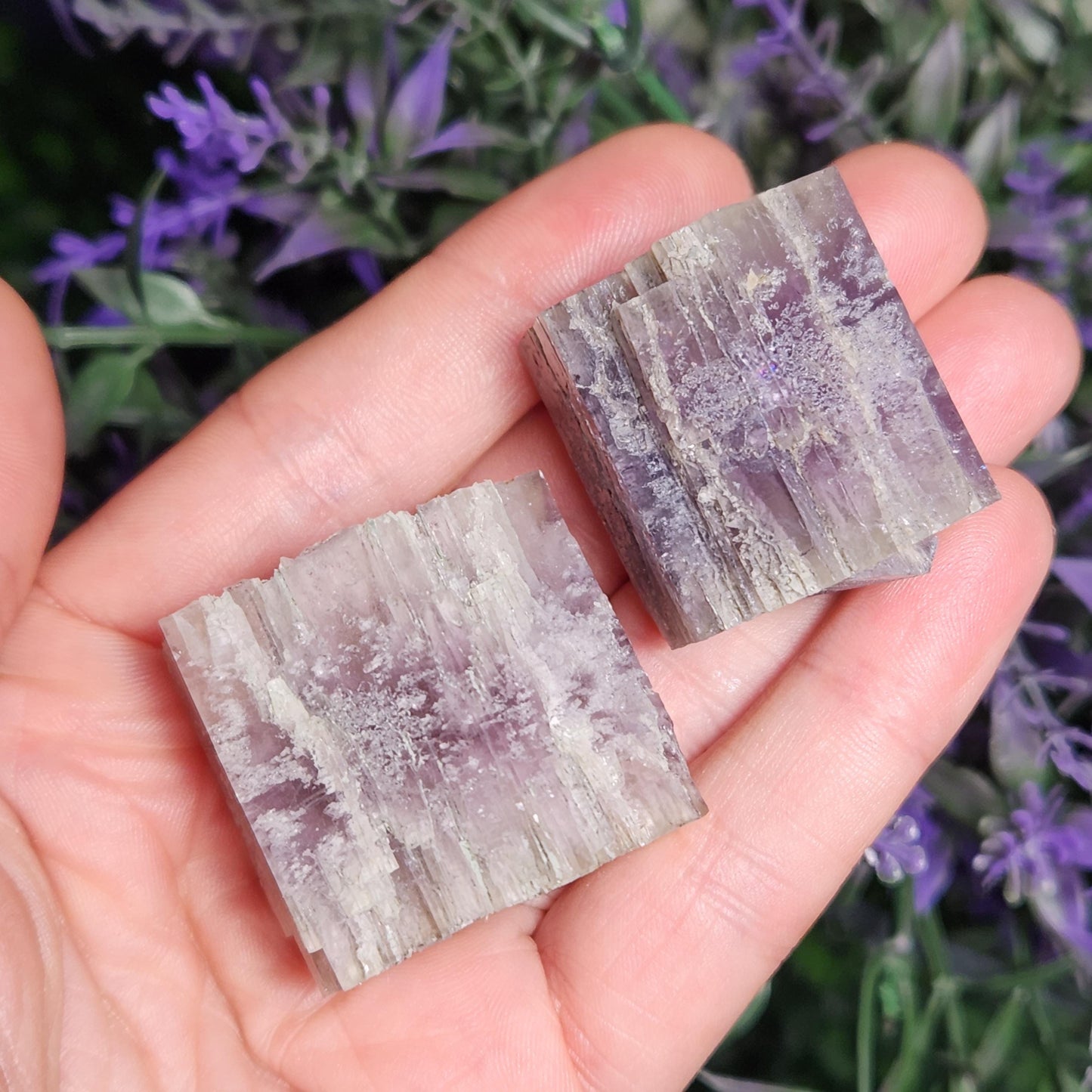 Purple Aragonite