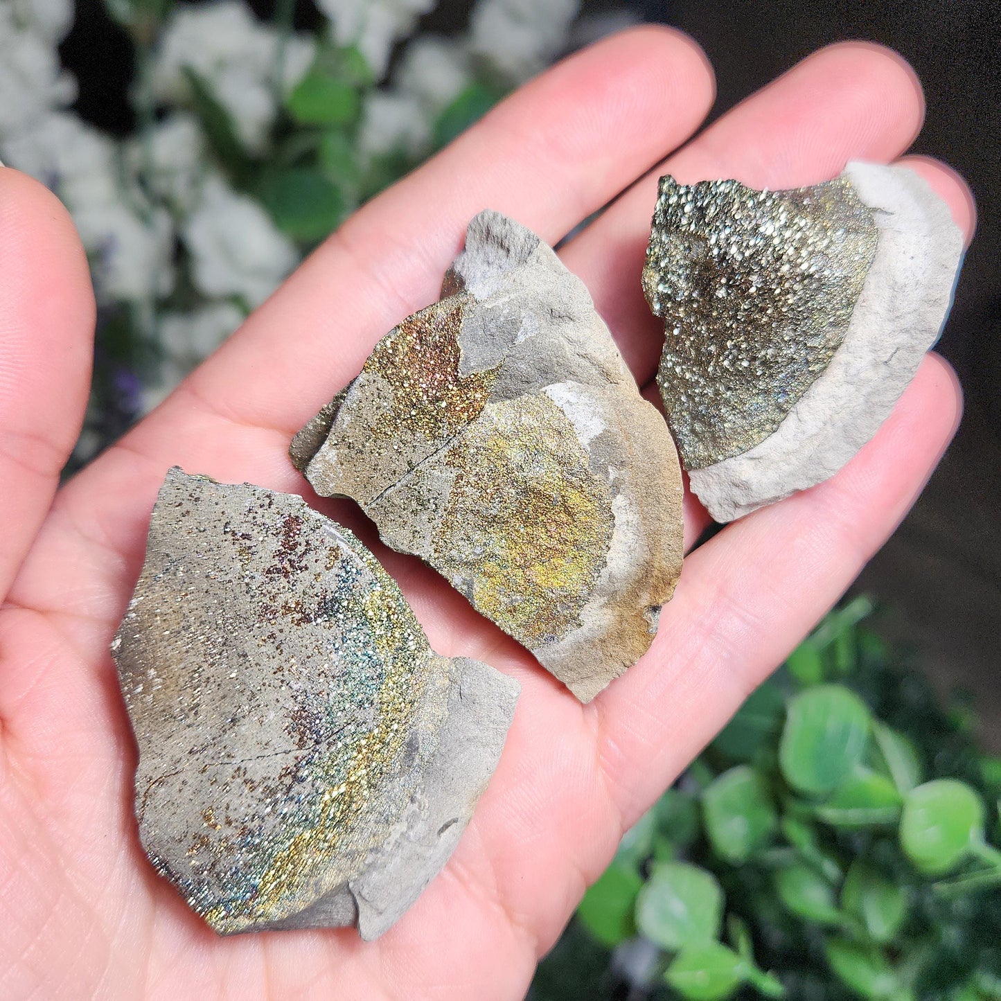 Rainbow Pyrite Specimen