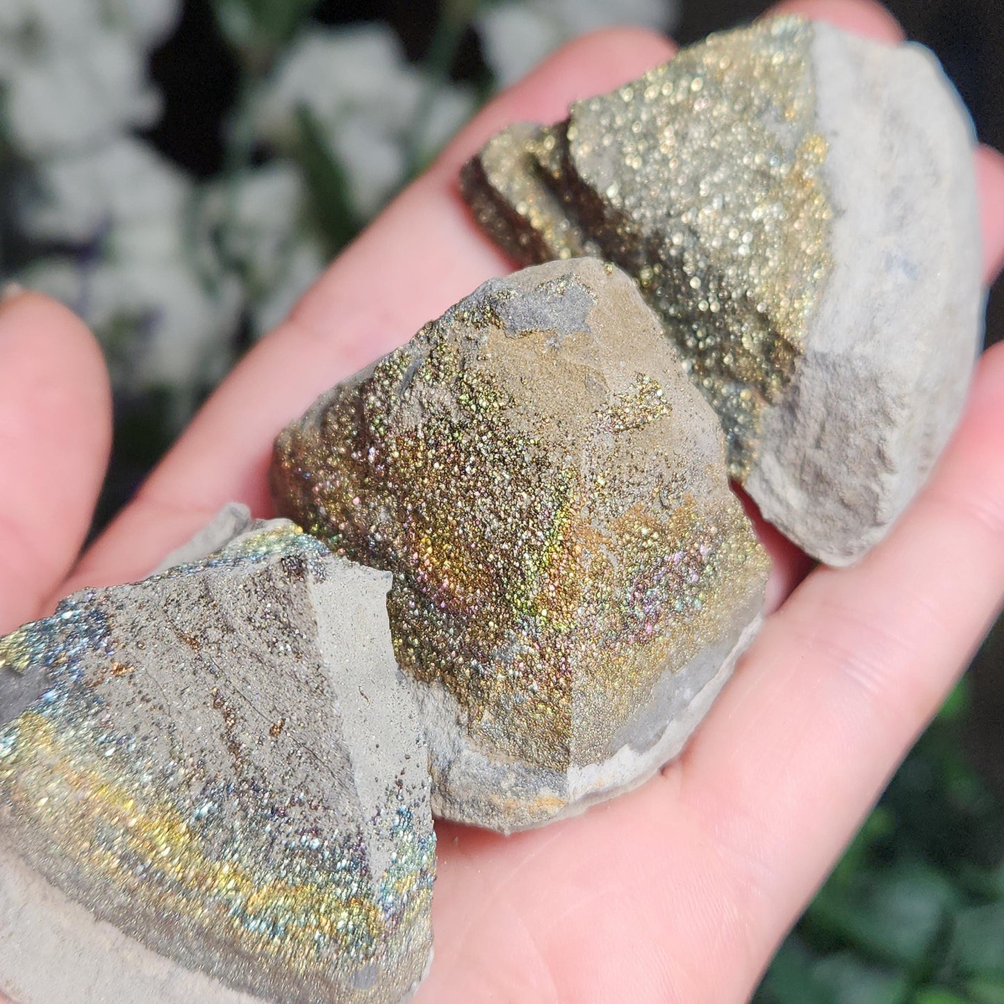 Rainbow Pyrite Specimen