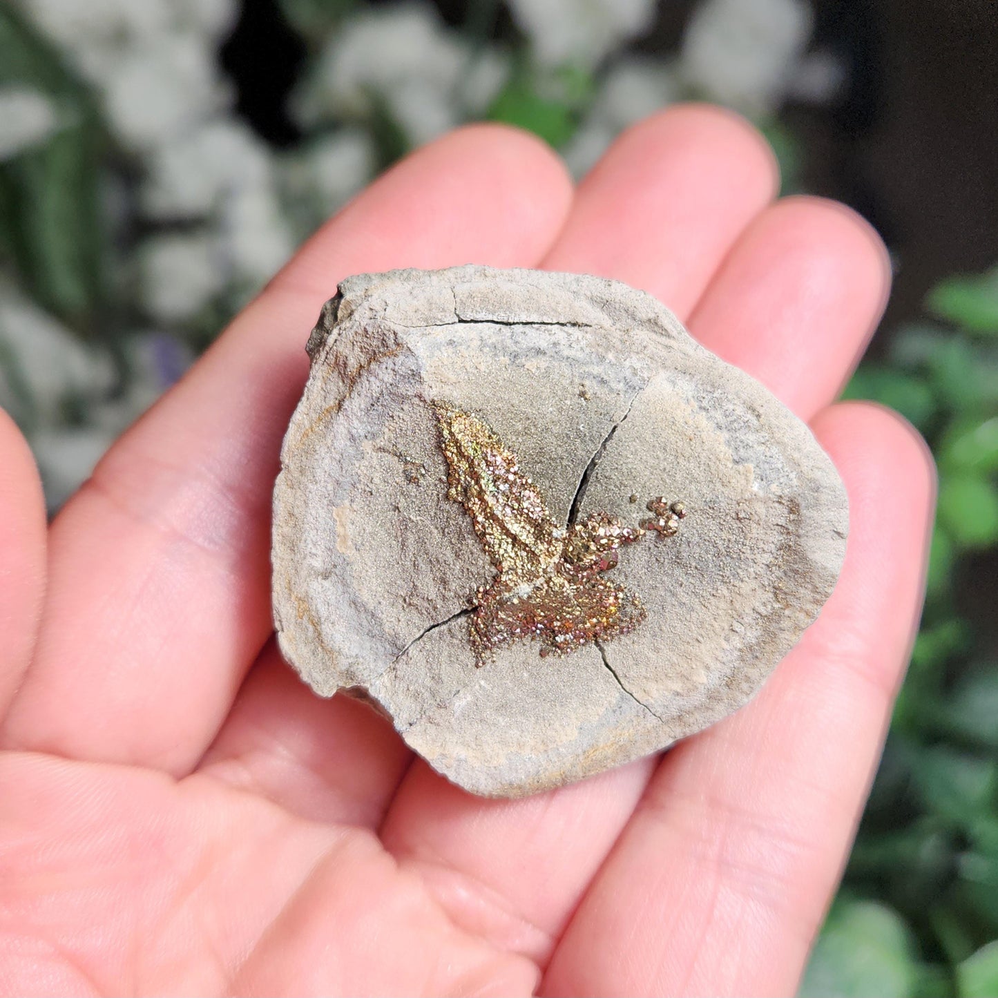 Rainbow Pyrite Specimen