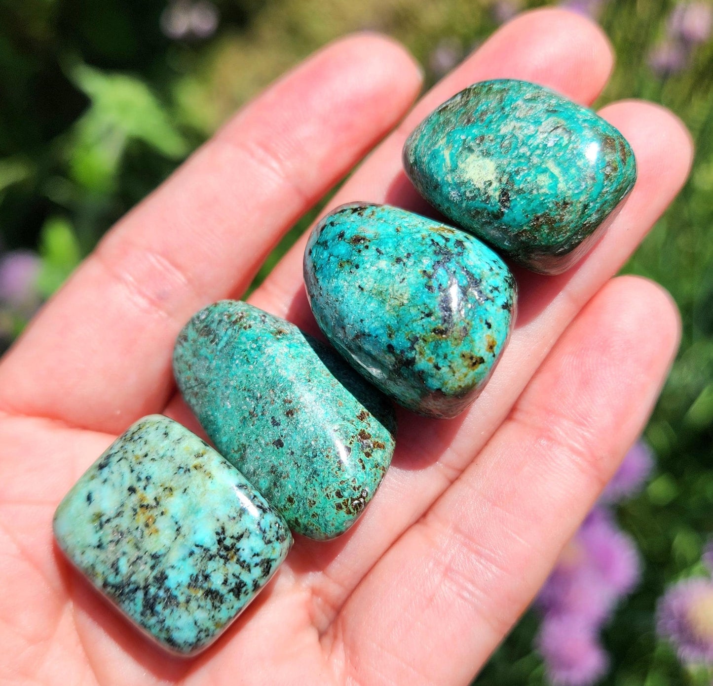 Robins Egg Turquoise