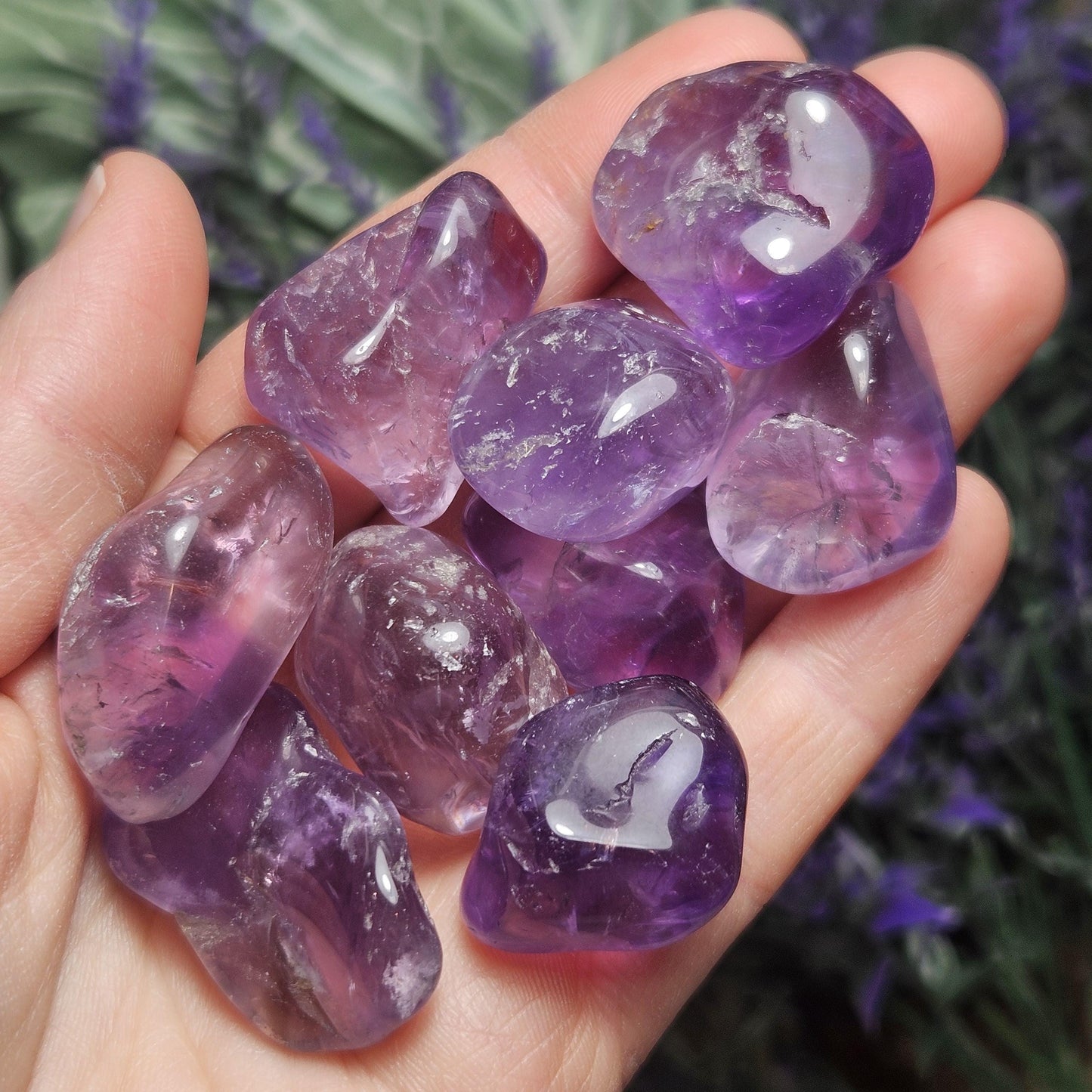 Brazilian Amethyst