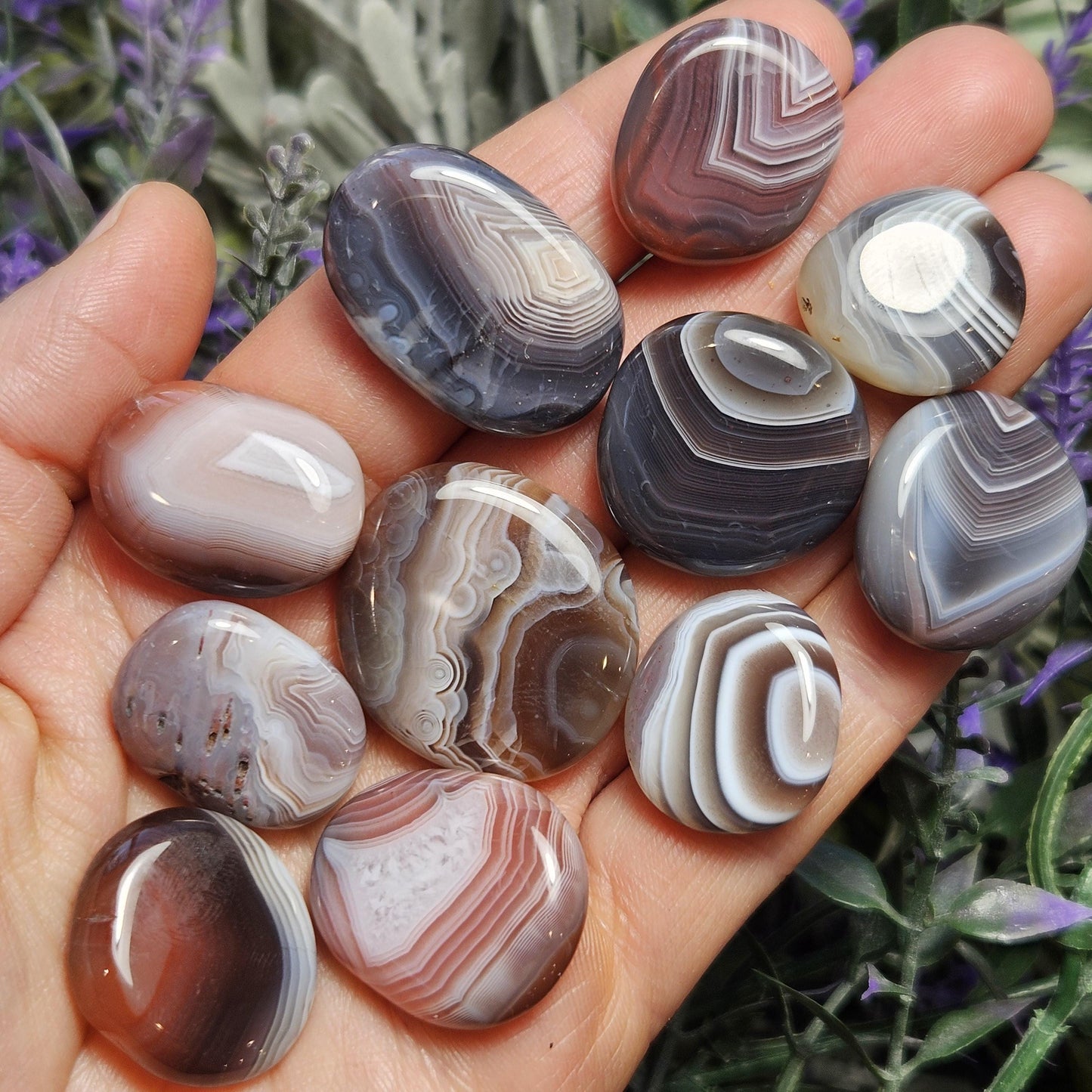 Botswana Agate Specimen