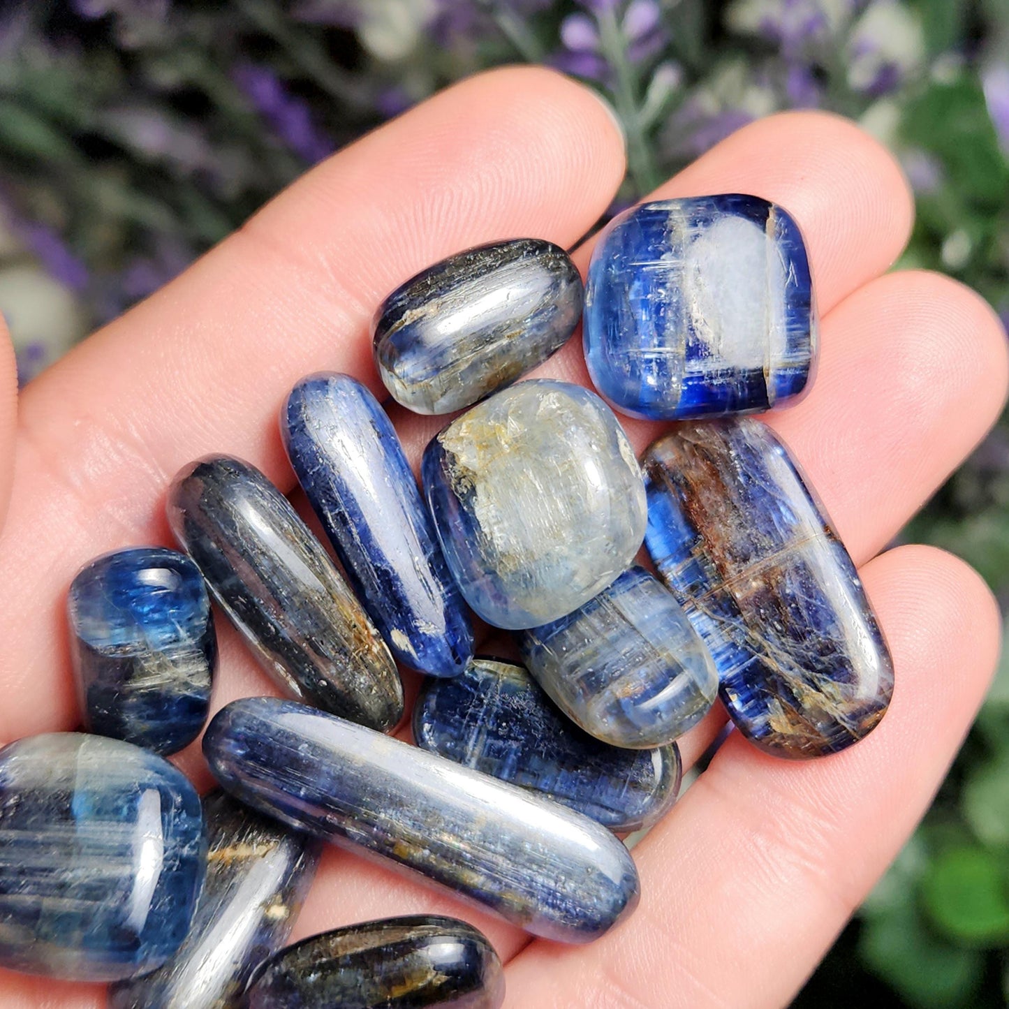 Royal Blue Kyanite