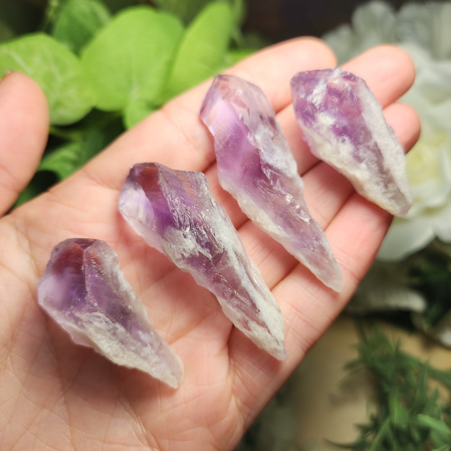 Dragons Tooth Amethyst
