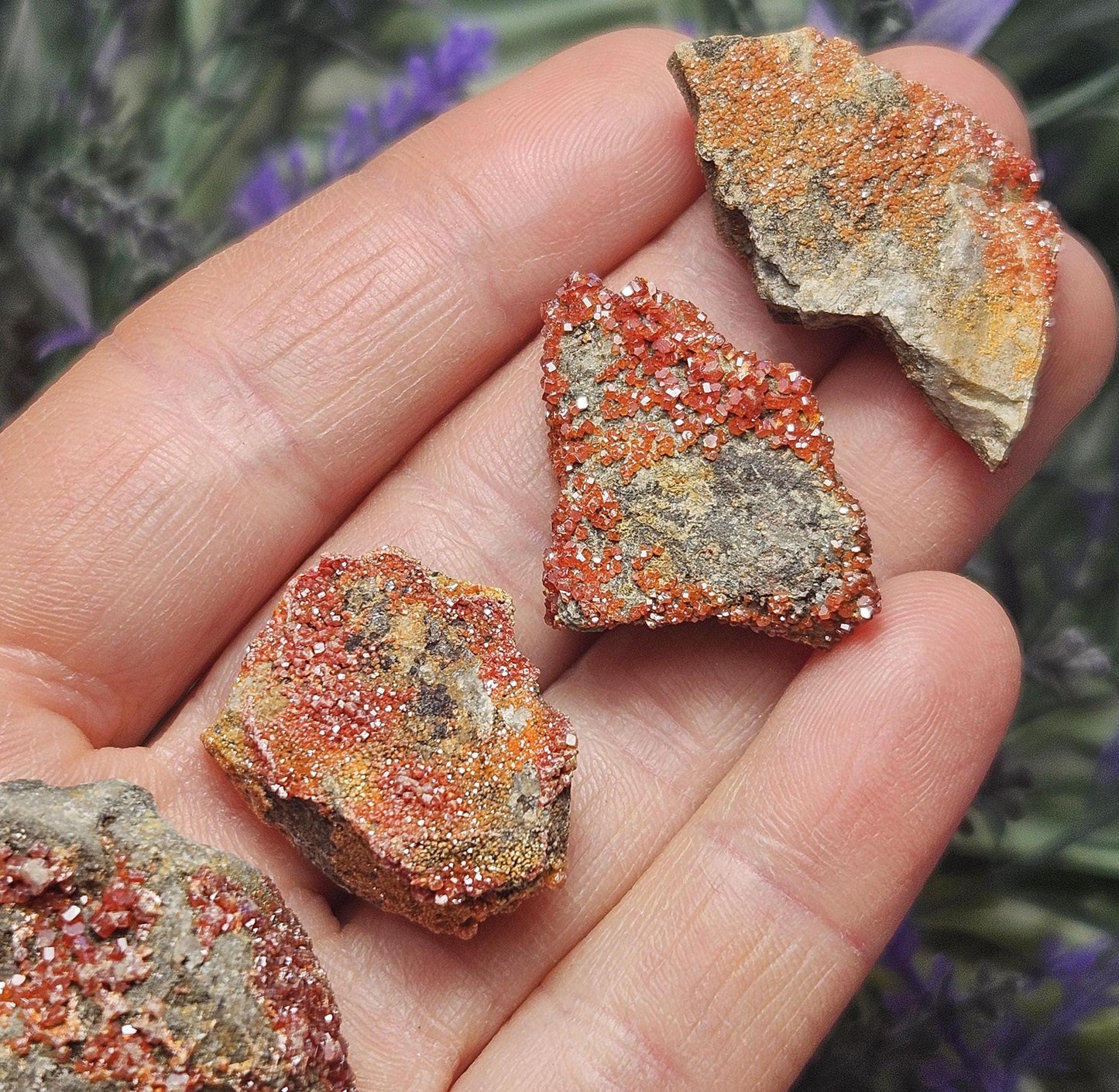 Vanadinite Cluster (Arizona, USA)